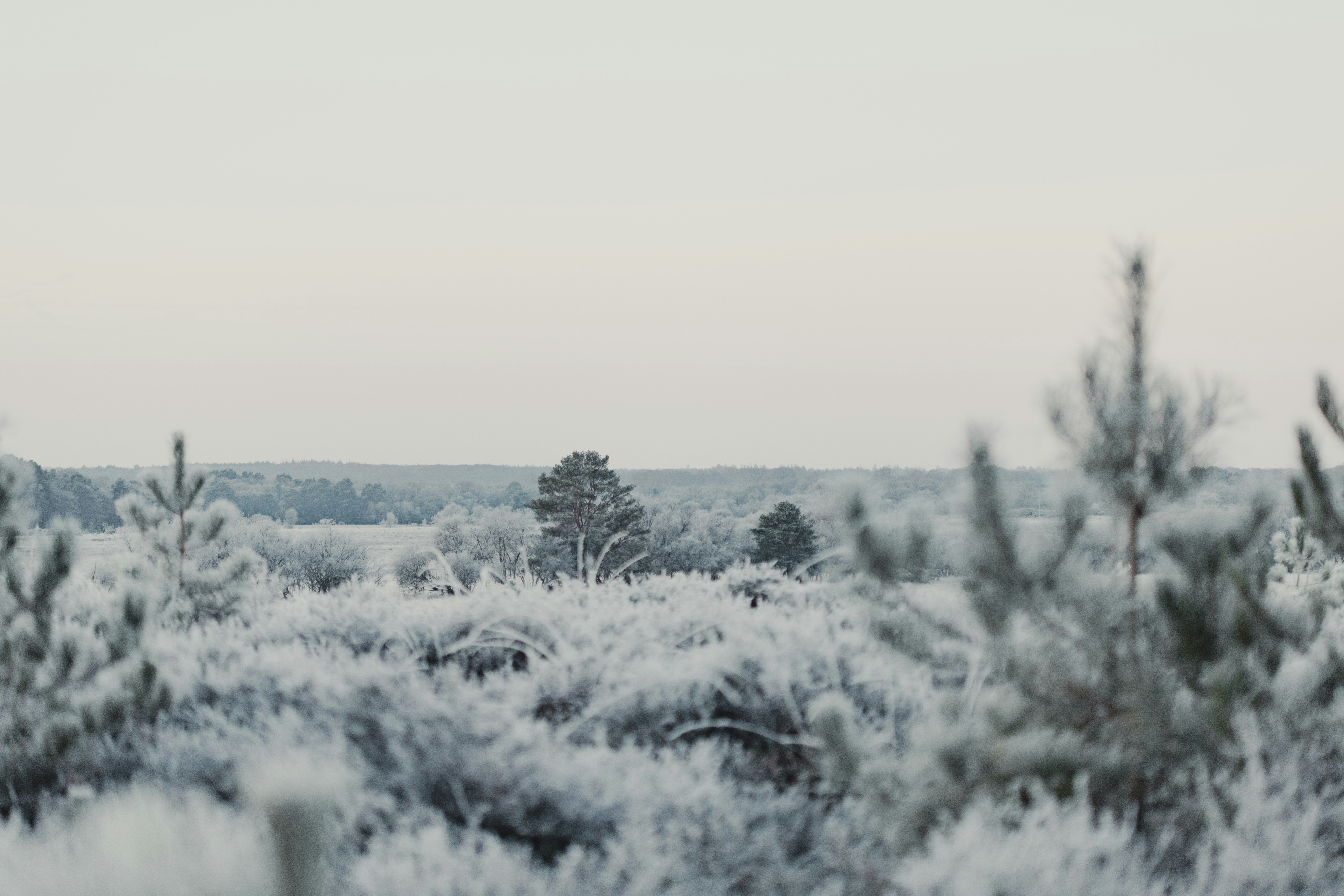 Photo by anniespratt