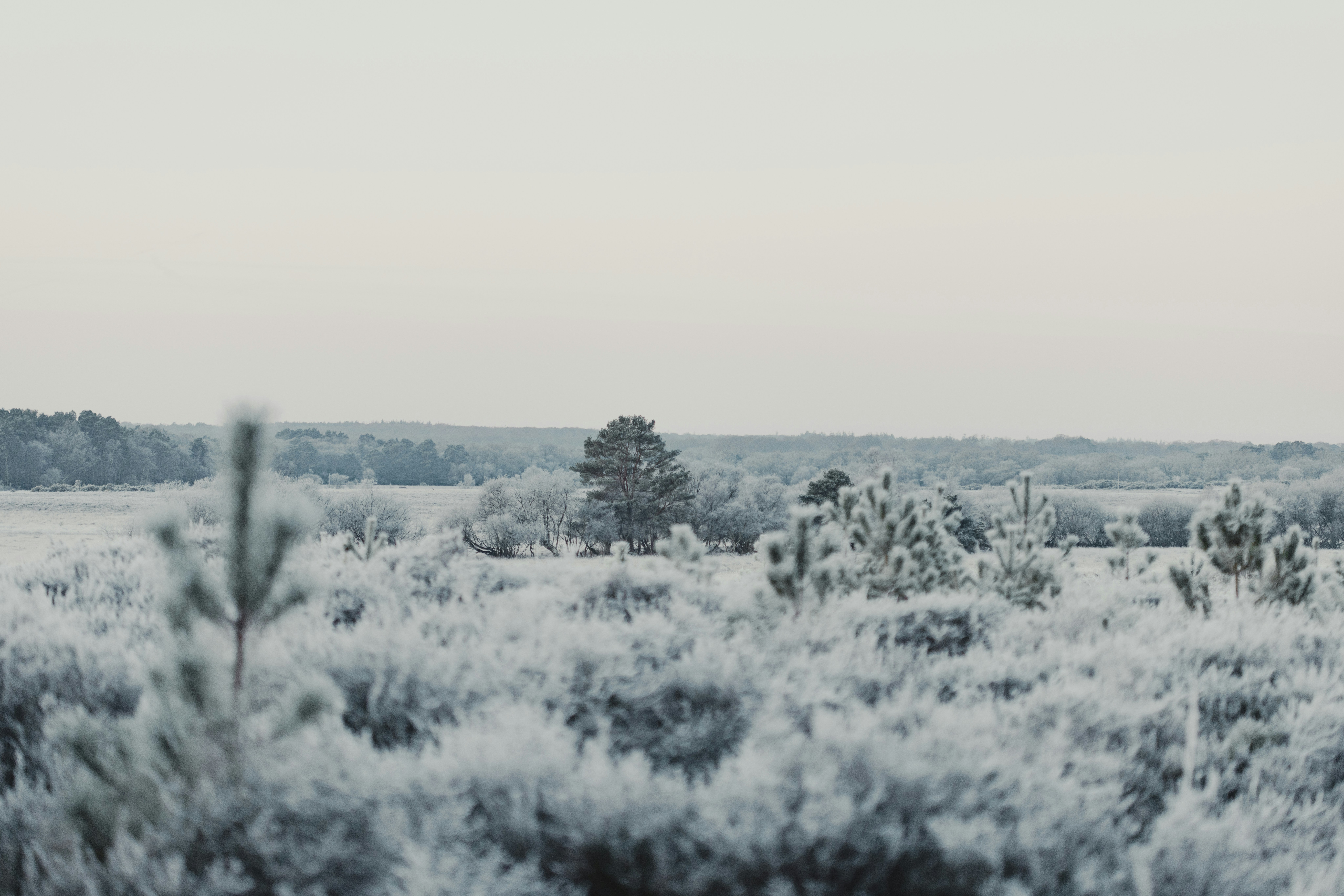 Photo by anniespratt