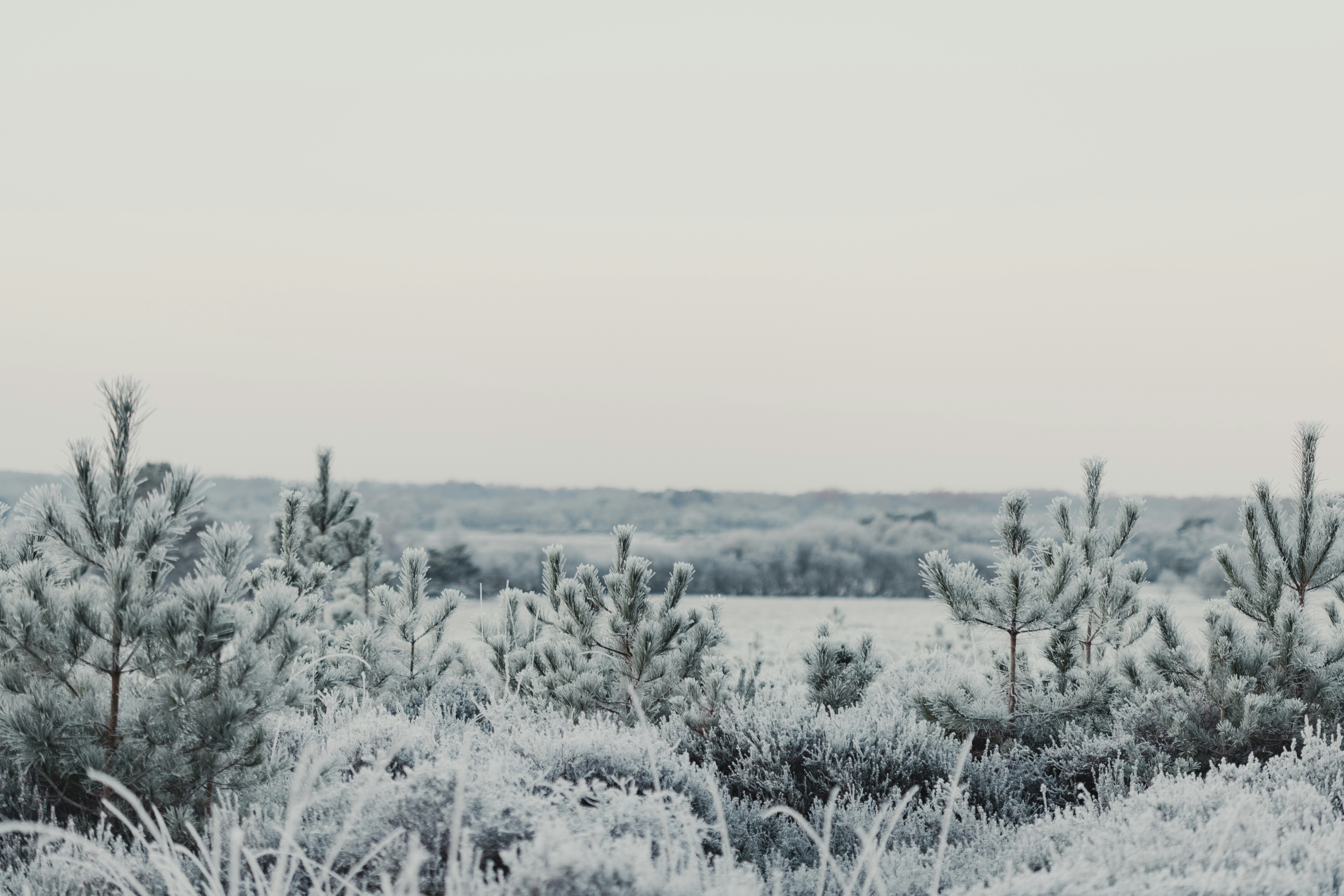 Photo by anniespratt