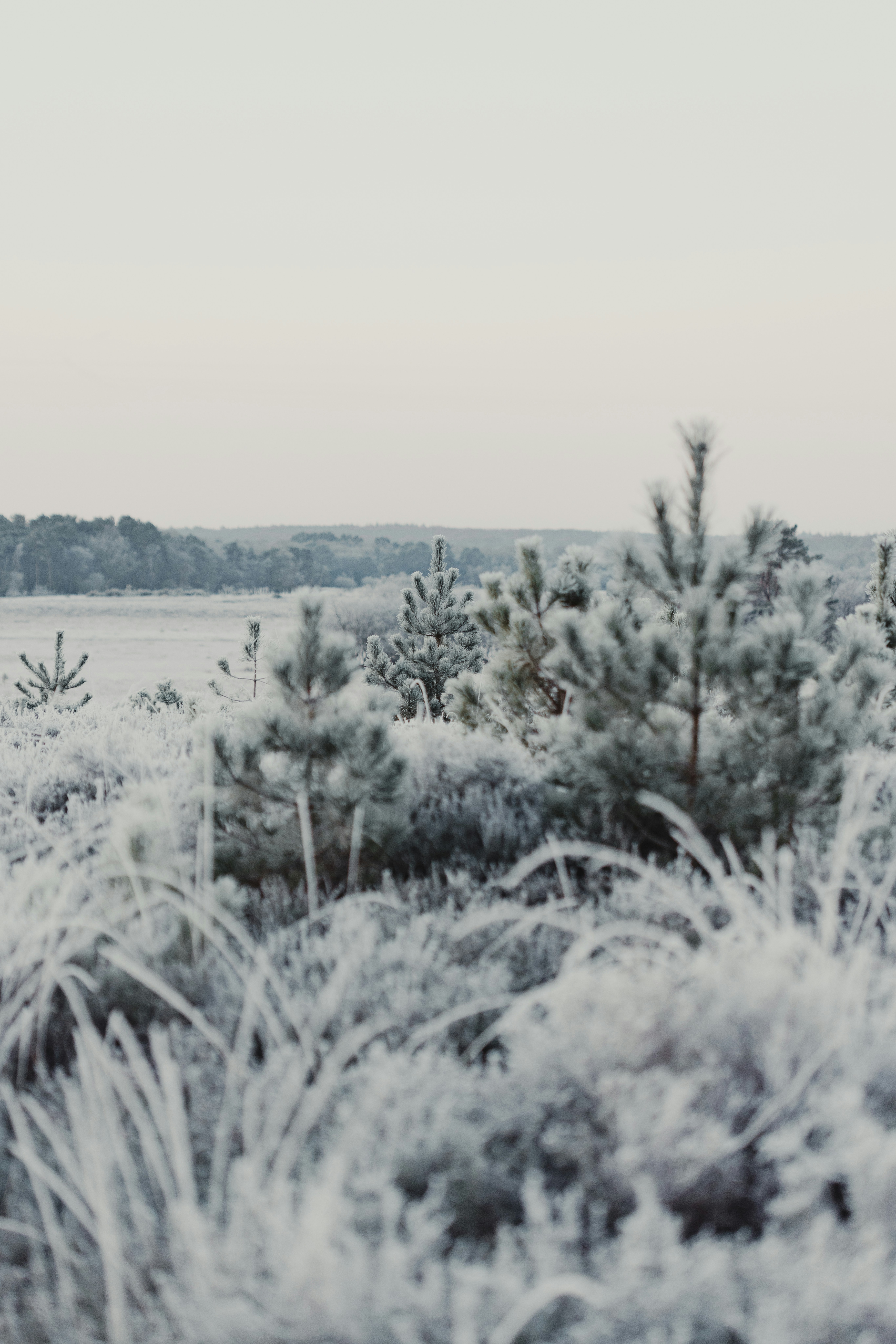 Photo by anniespratt