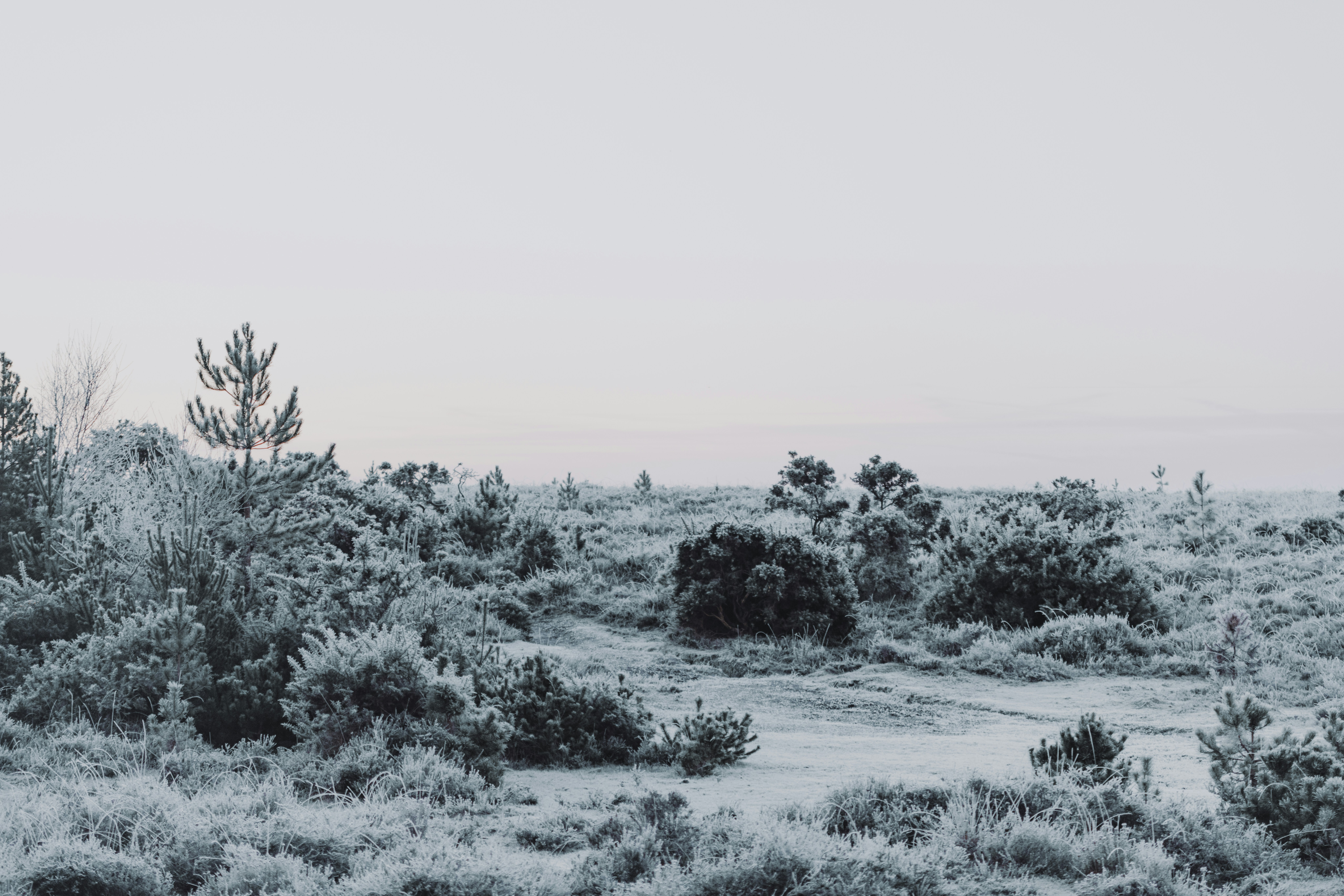 Photo by anniespratt