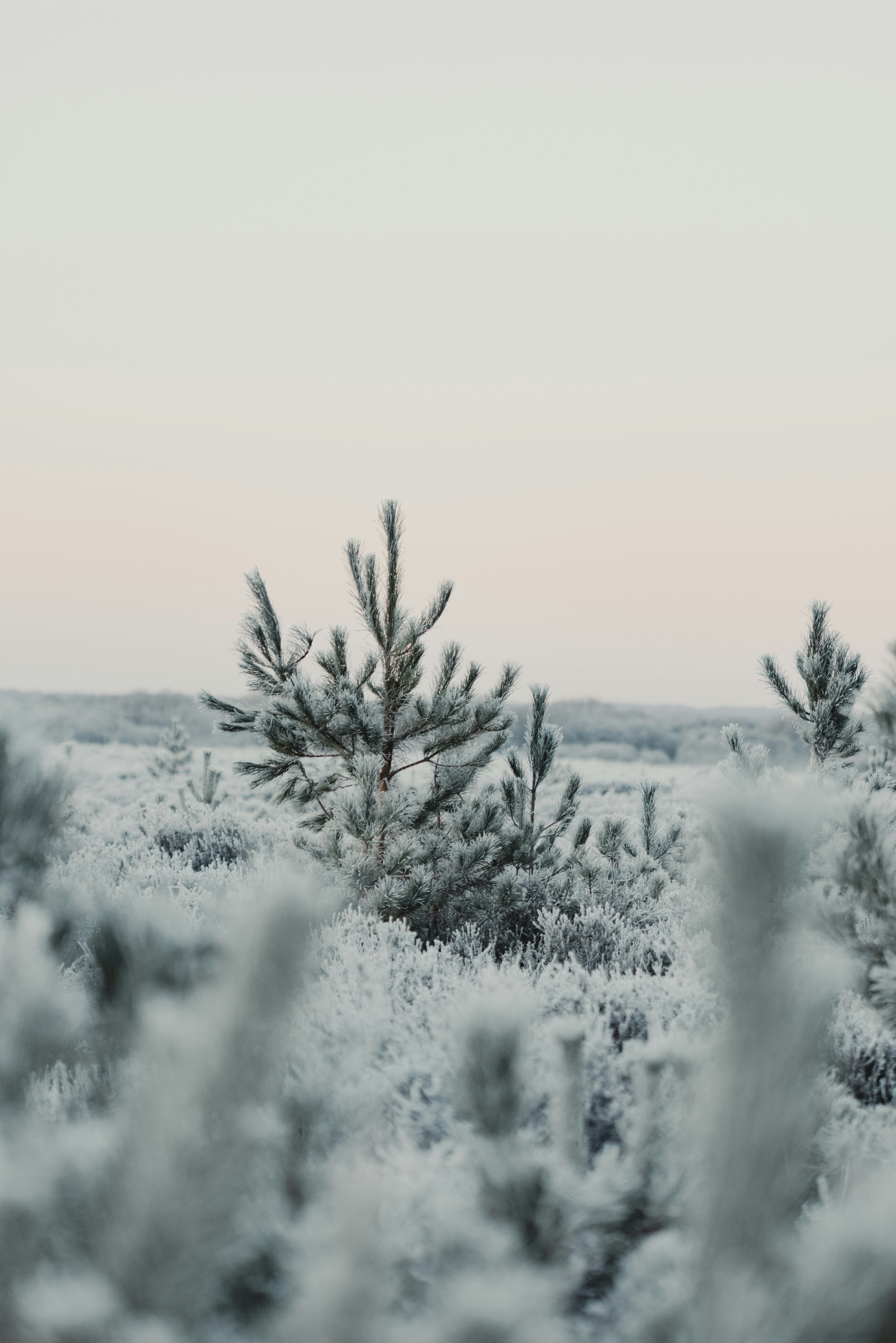 Photo by anniespratt