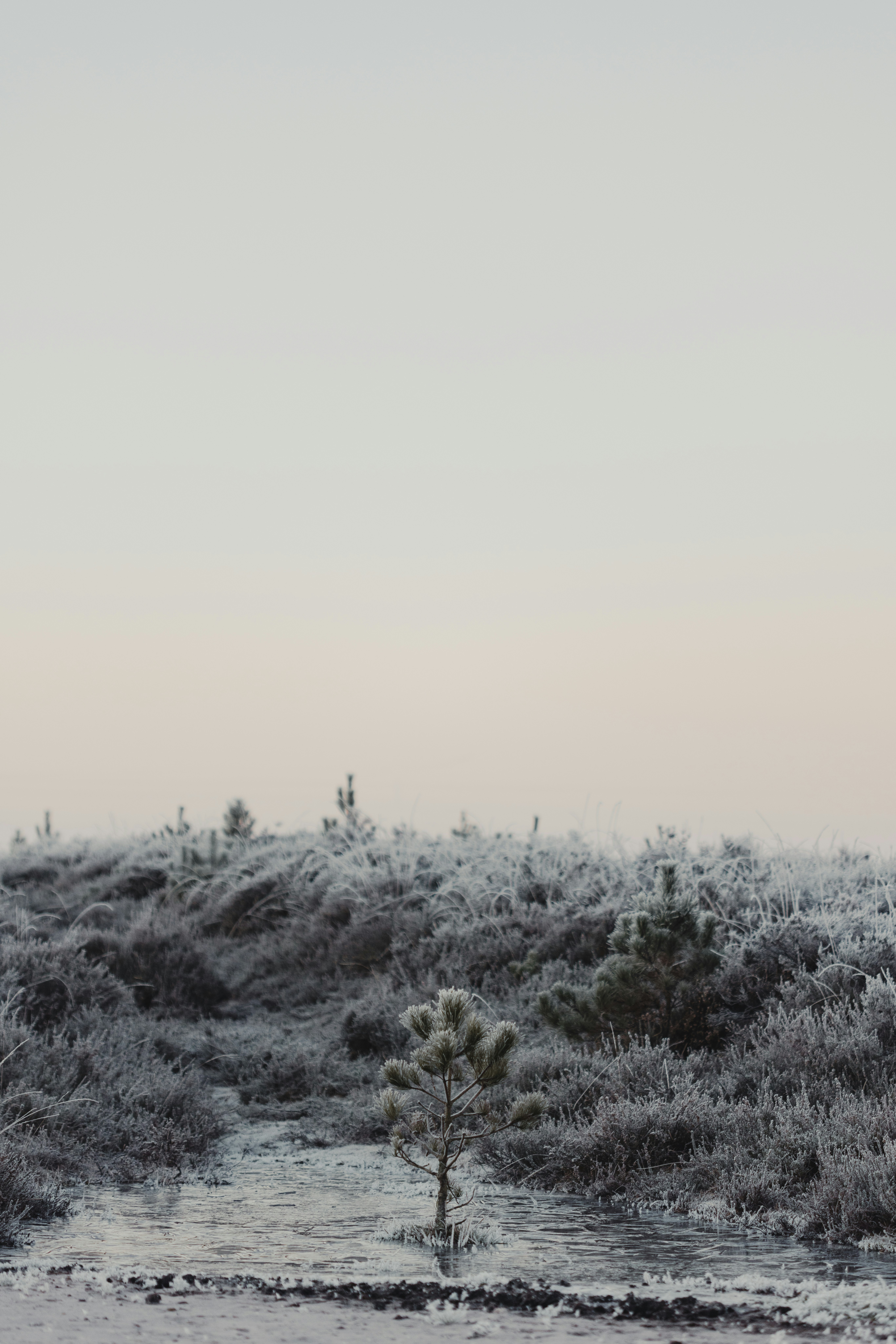 Photo by anniespratt