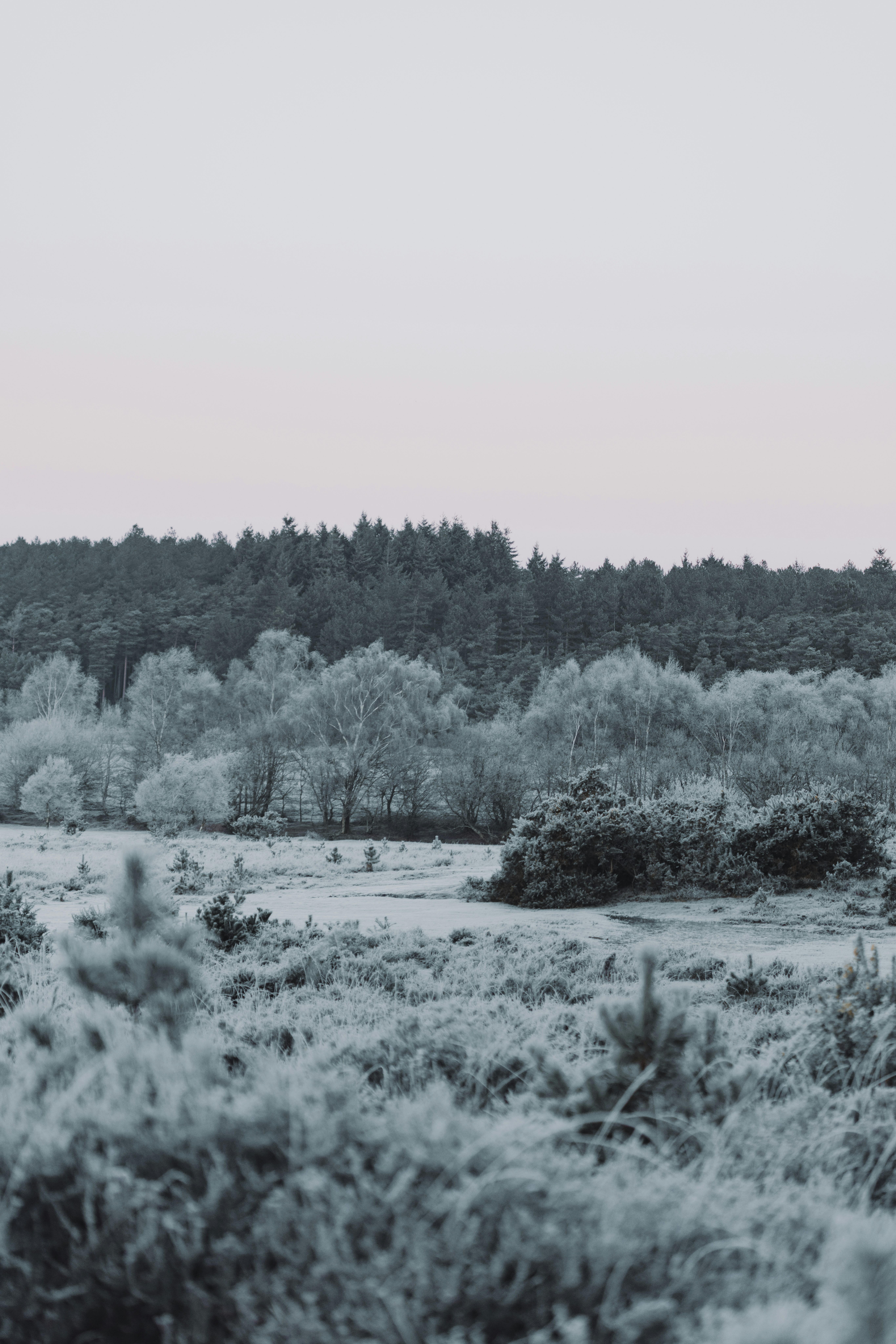 Photo by anniespratt