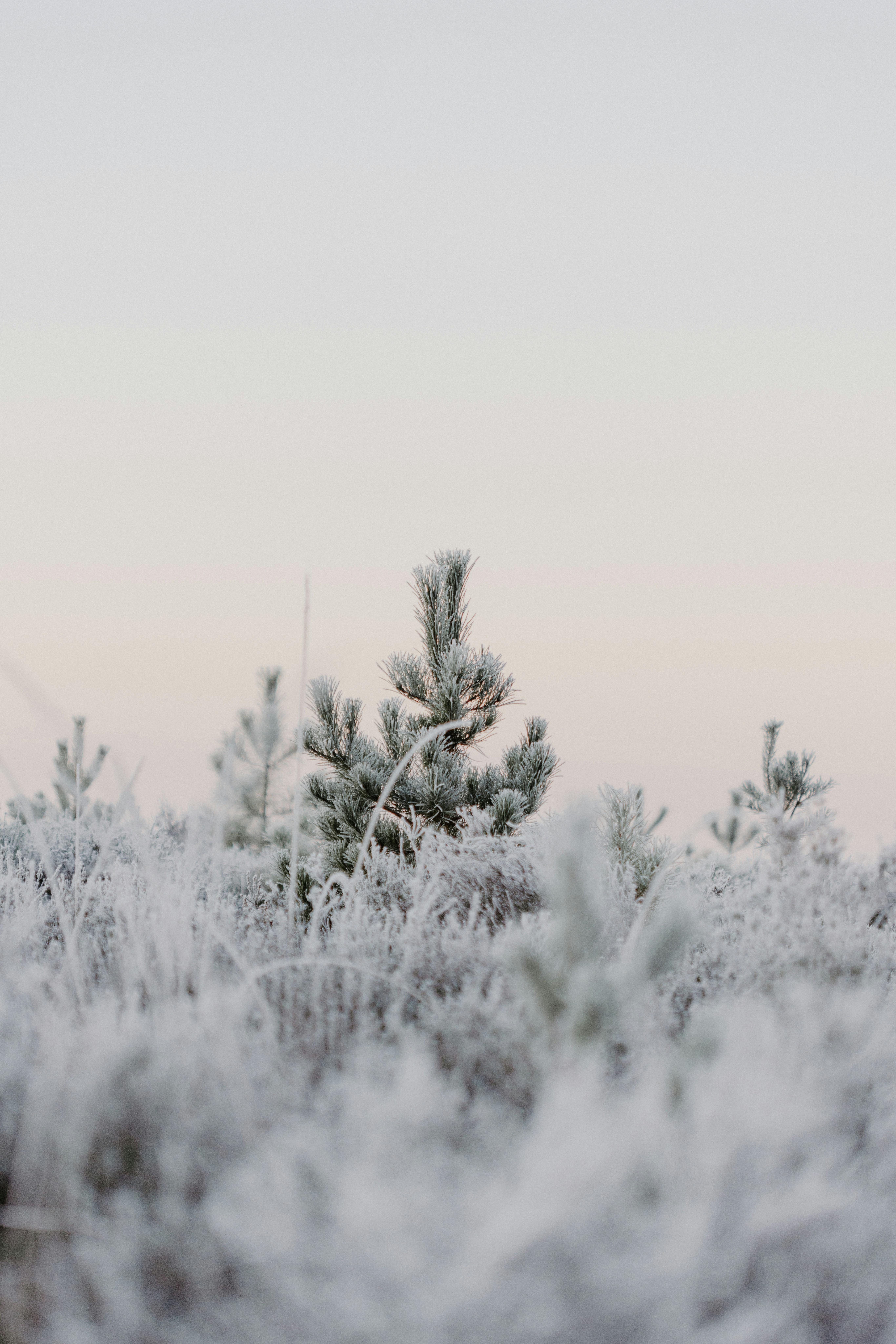 Photo by anniespratt