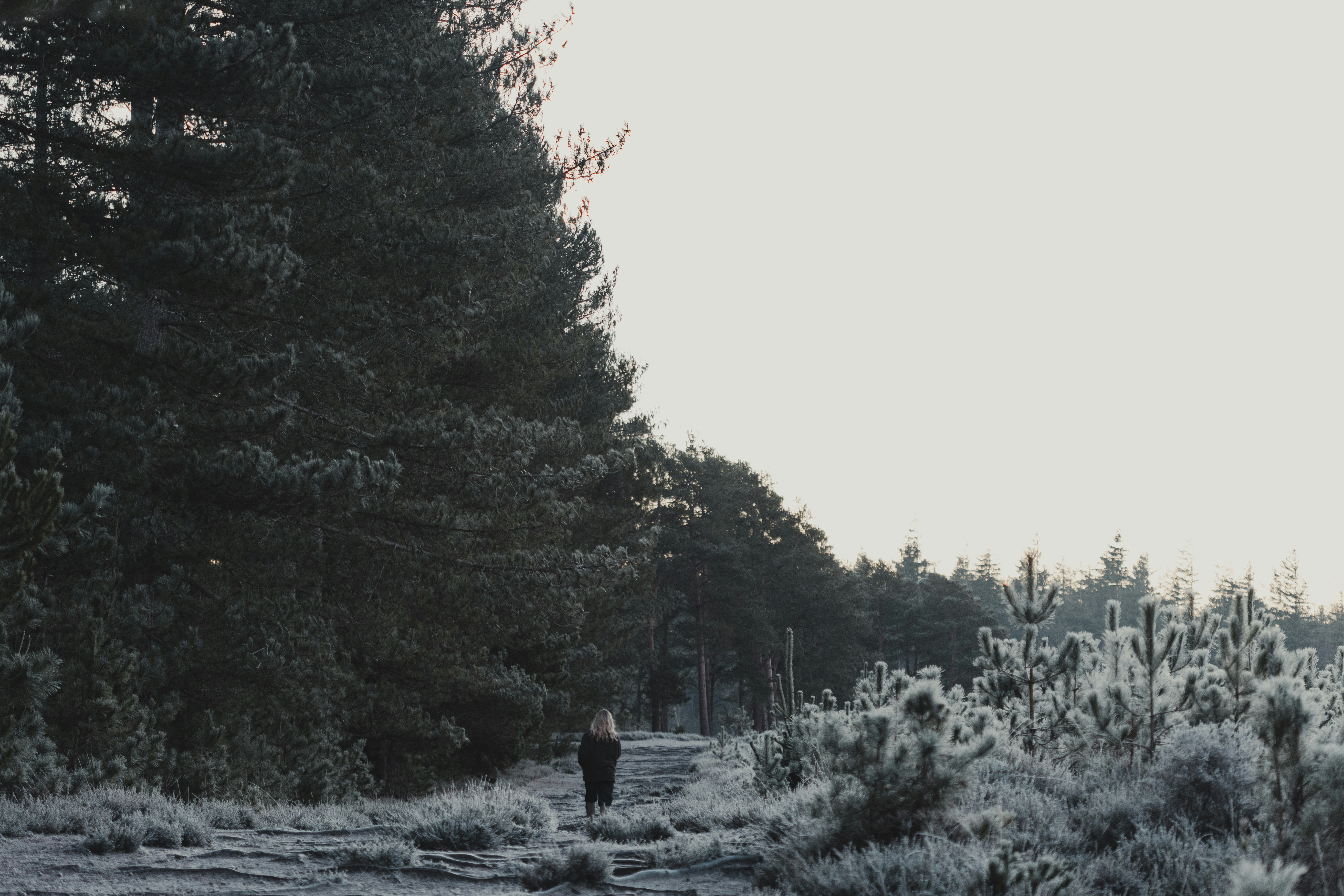 Photo by anniespratt