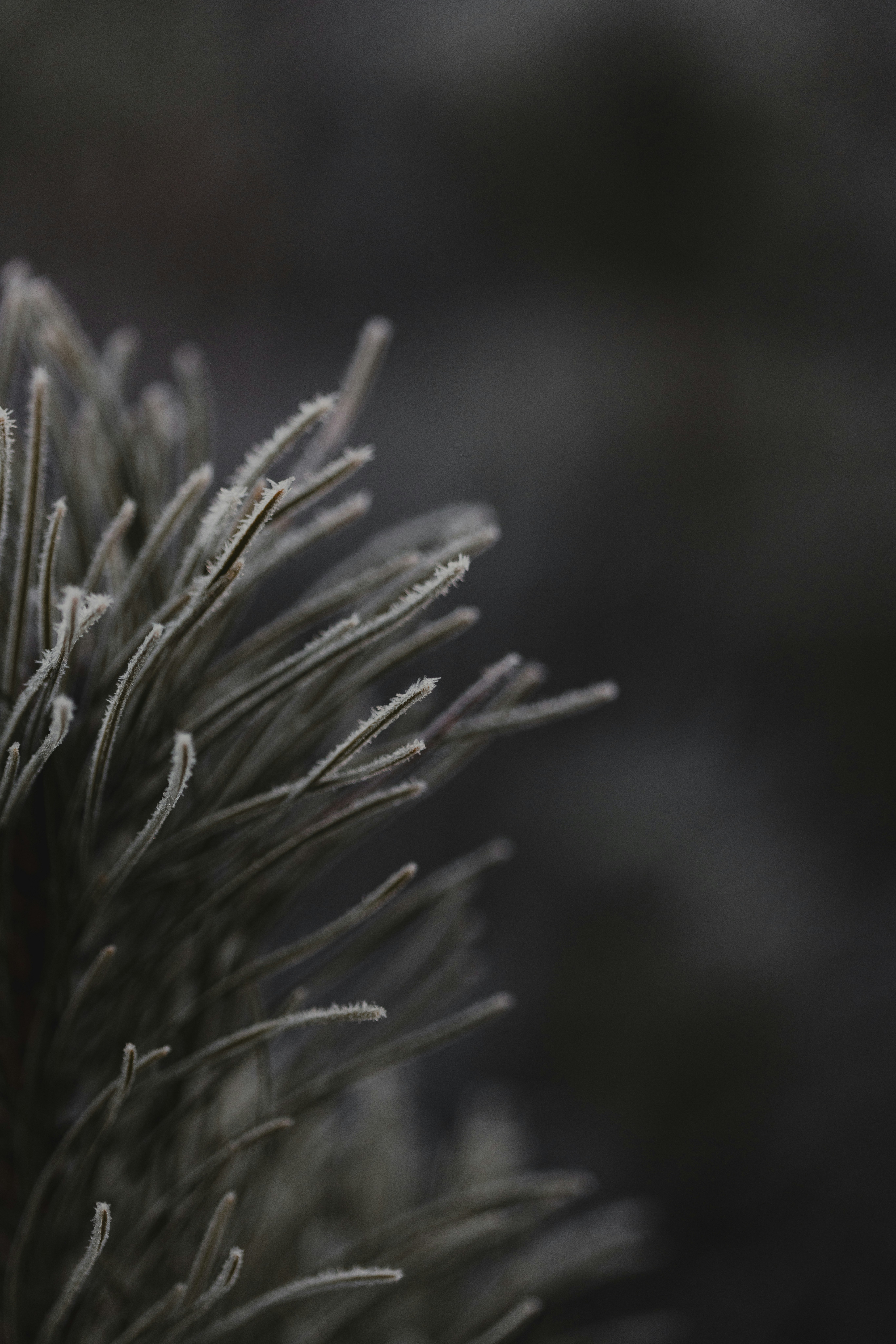 Photo by anniespratt