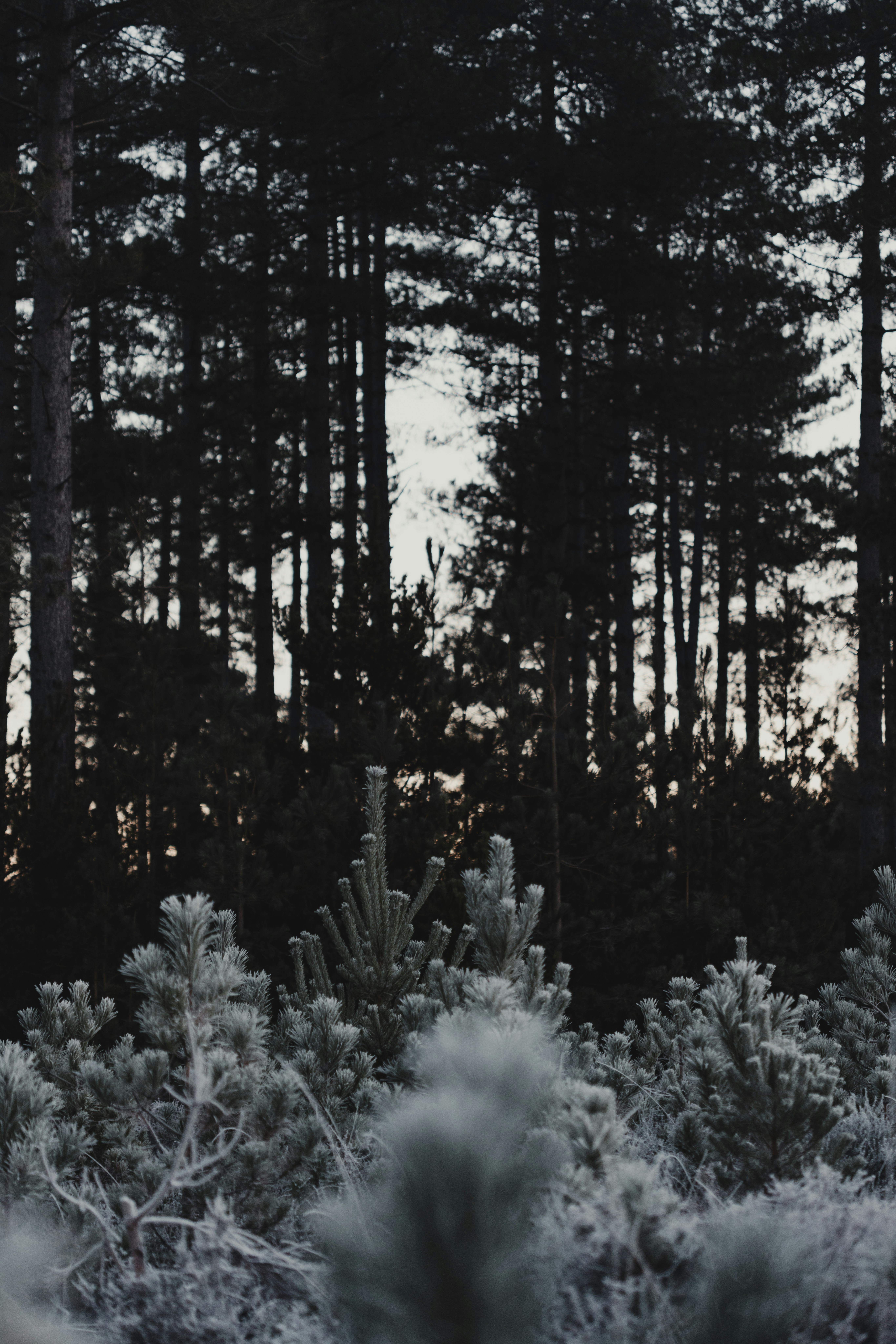 Photo by anniespratt