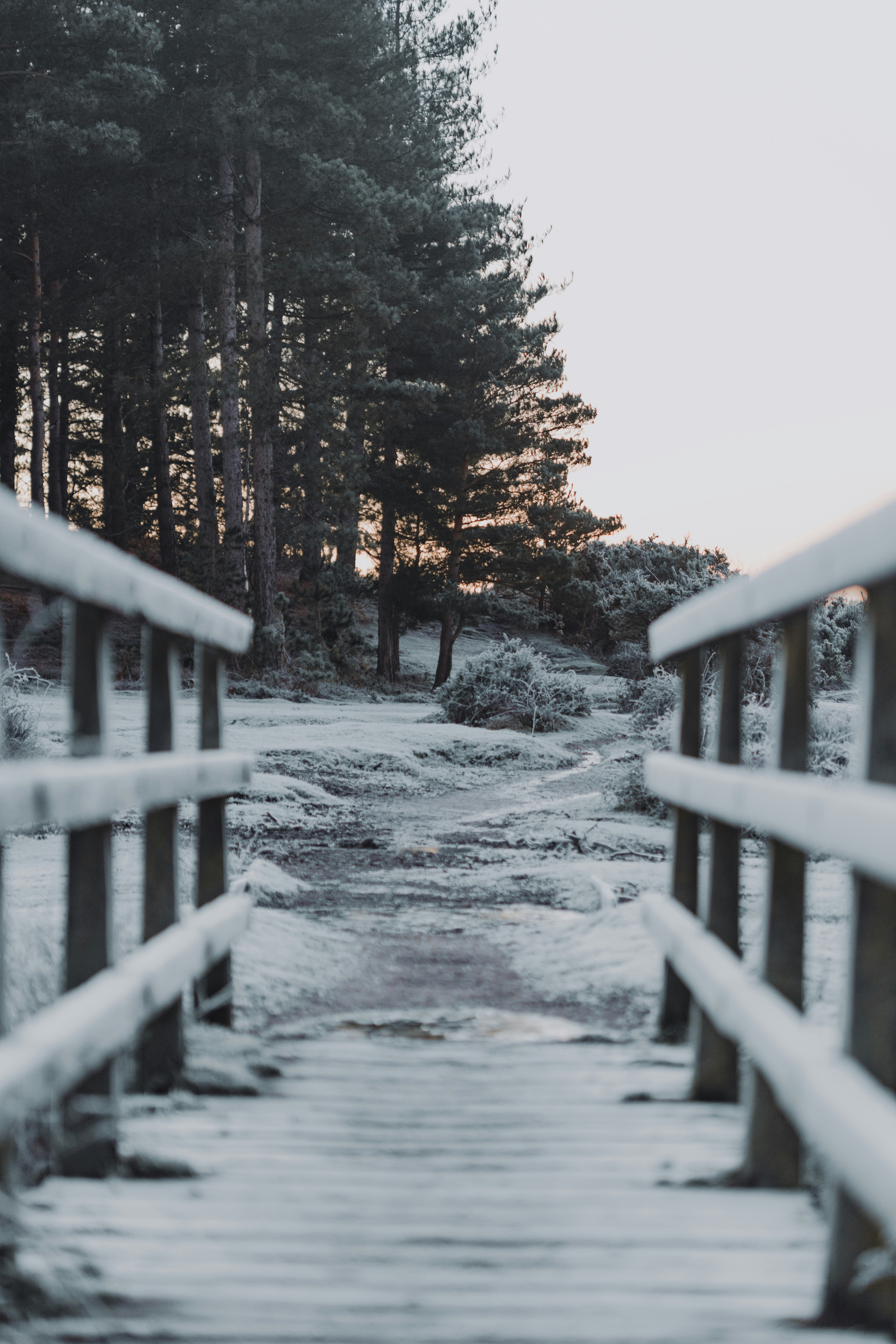 Photo by anniespratt