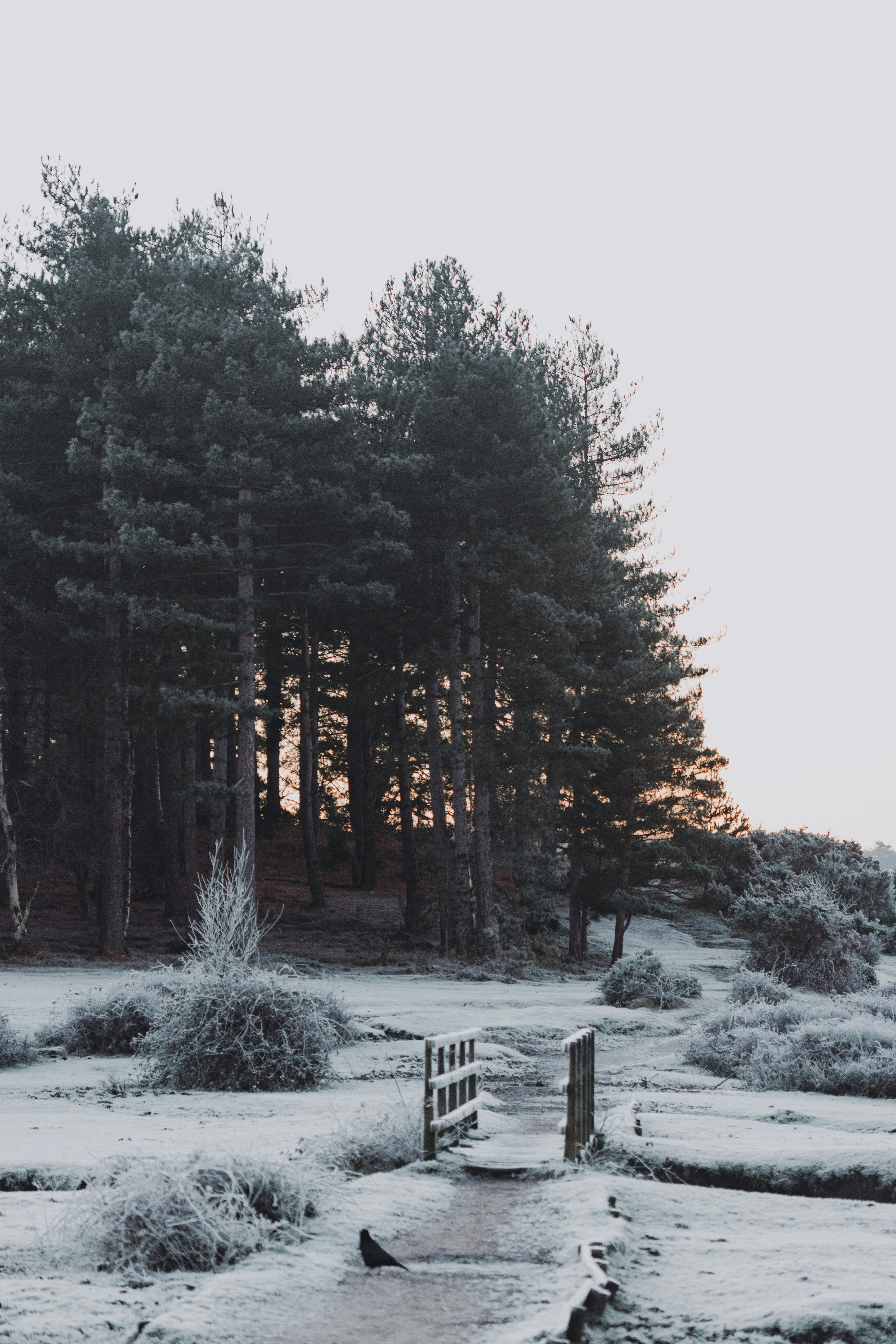 Photo by anniespratt