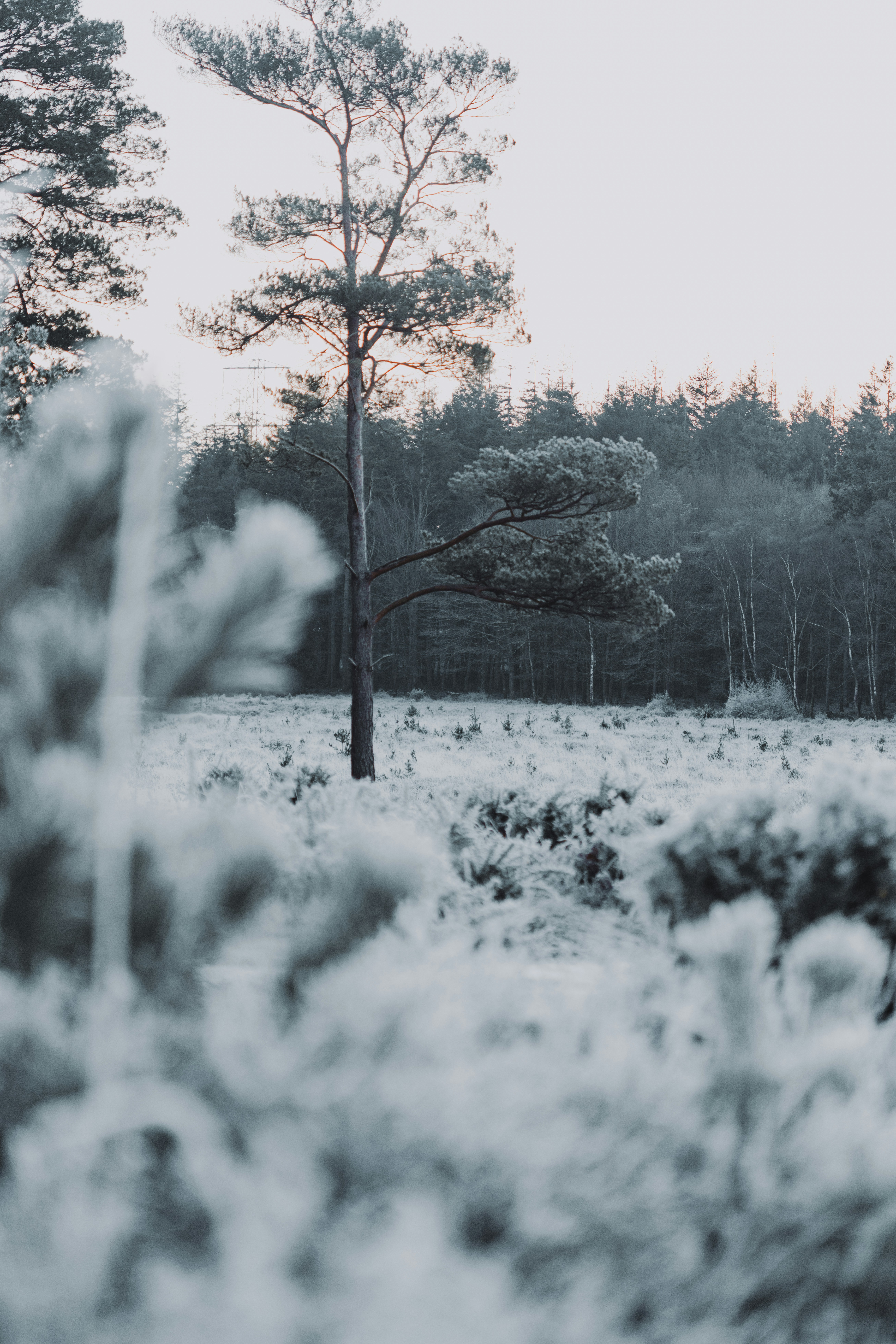 Photo by anniespratt