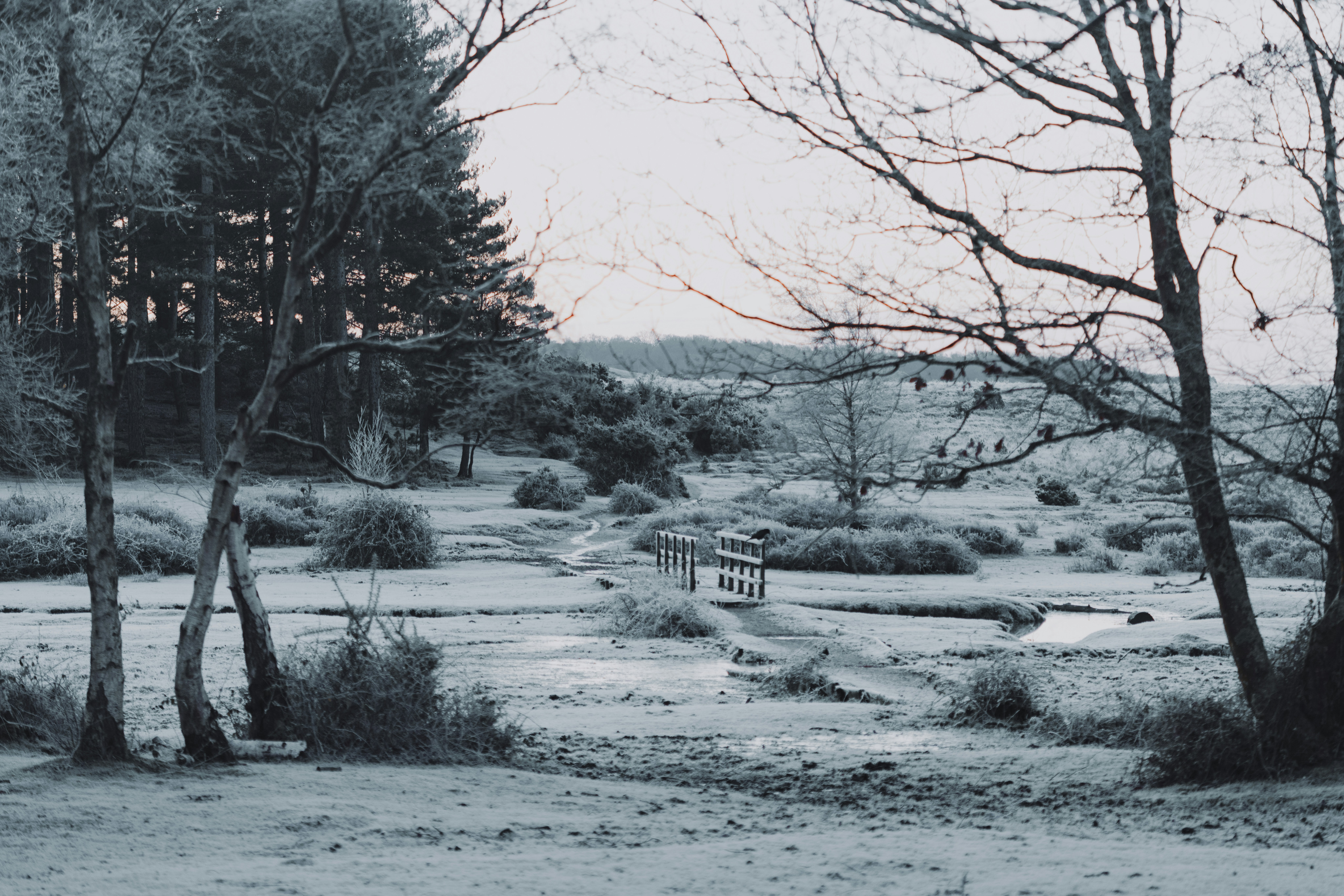 Photo by anniespratt