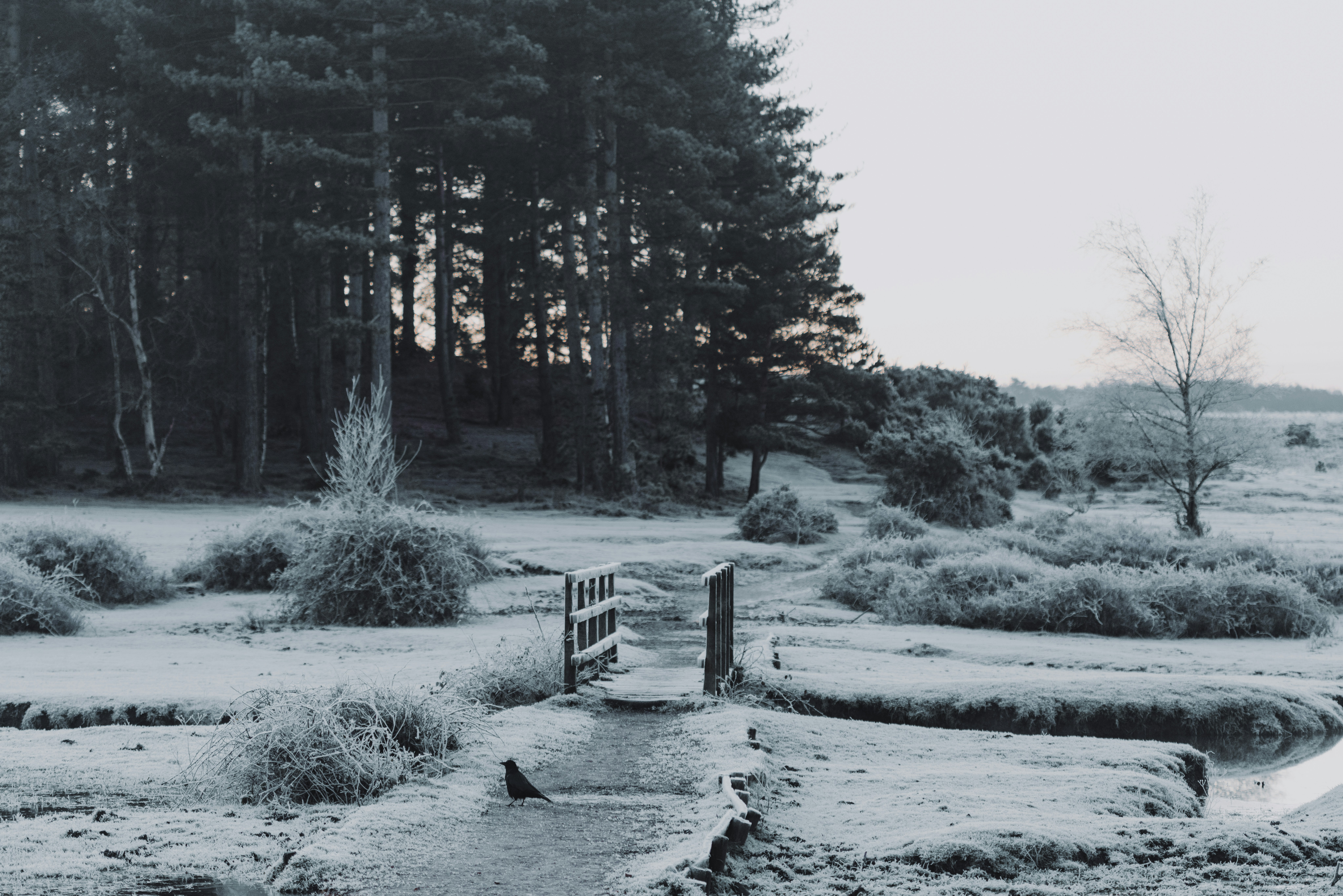 Photo by anniespratt