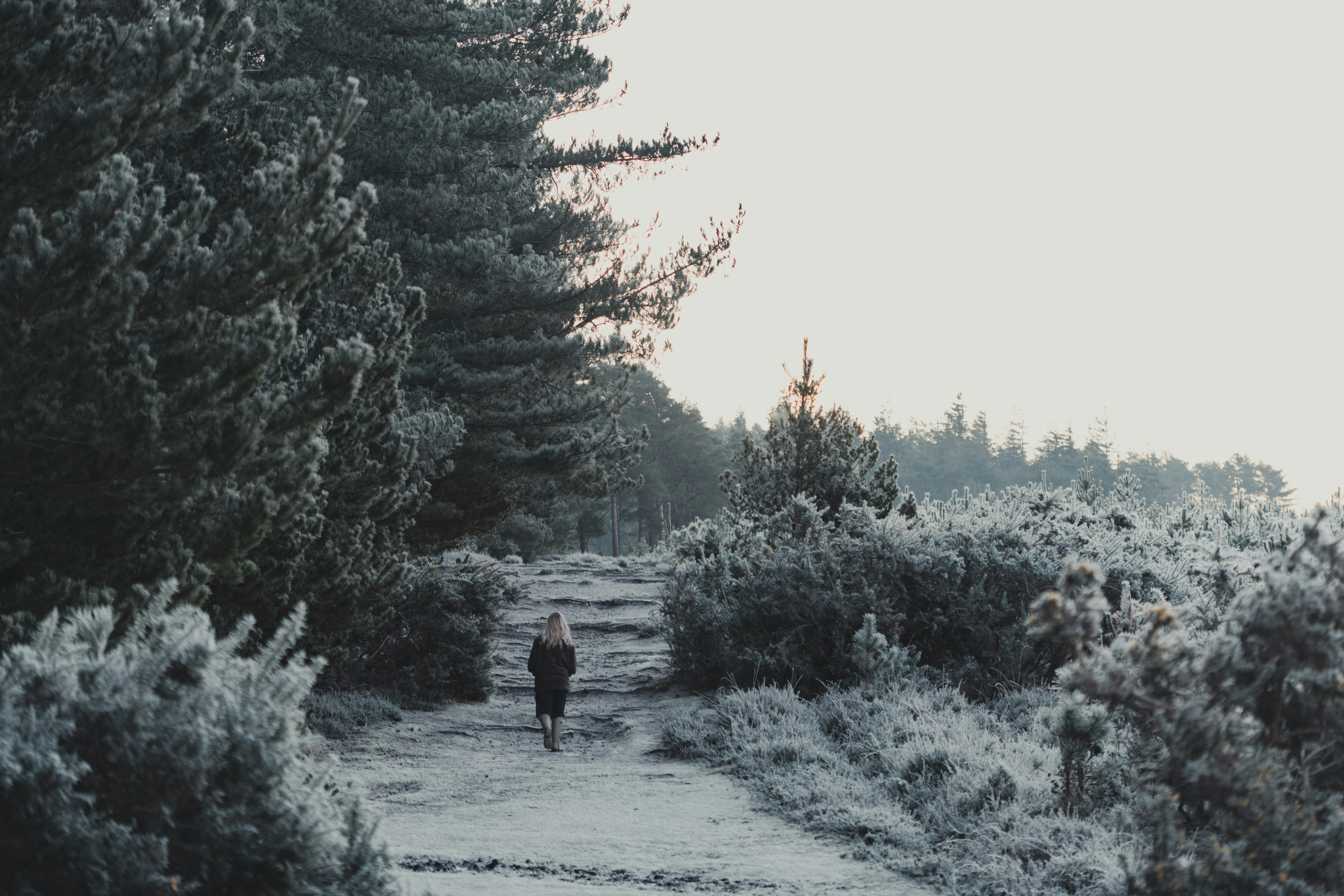 Photo by anniespratt
