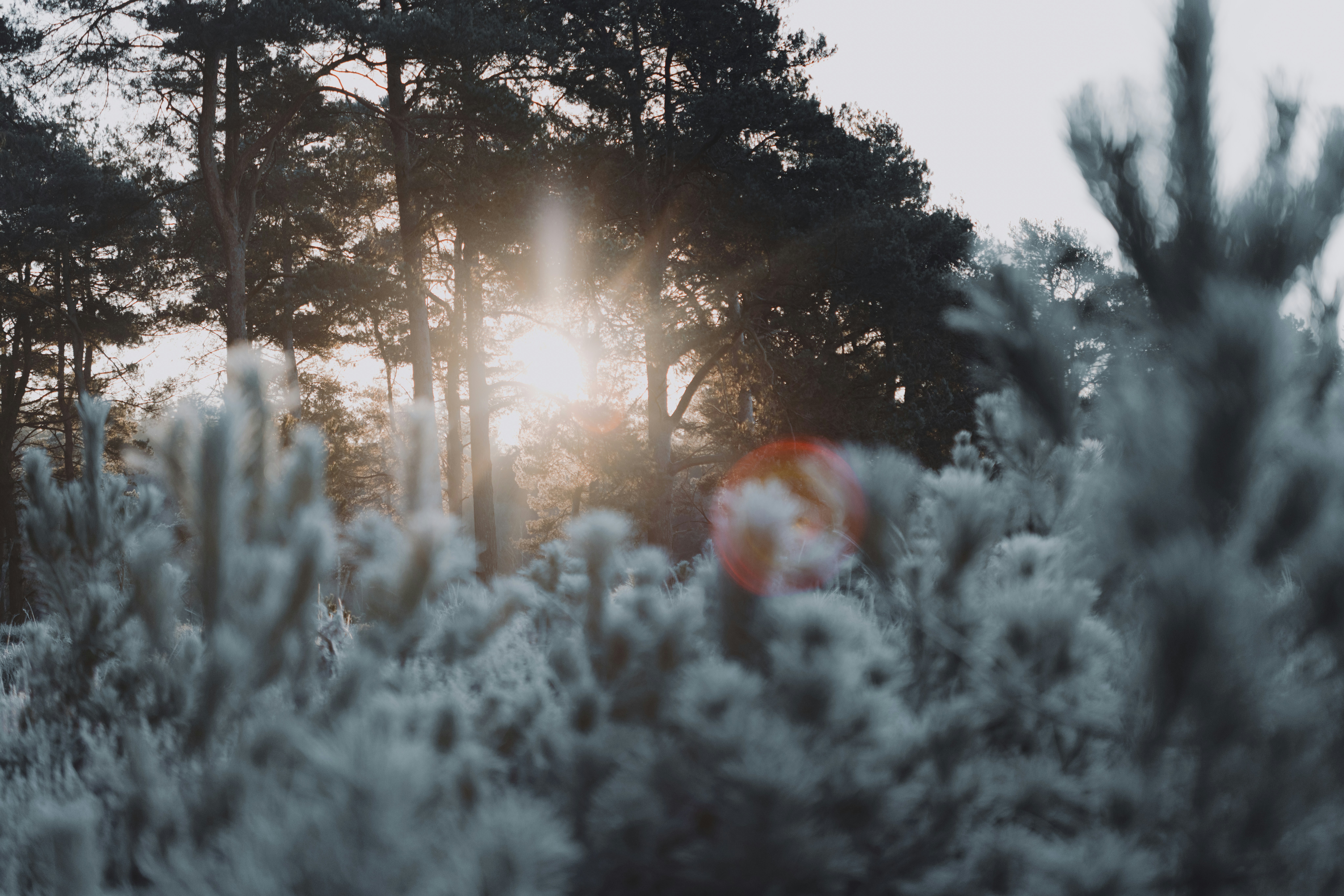 Photo by anniespratt