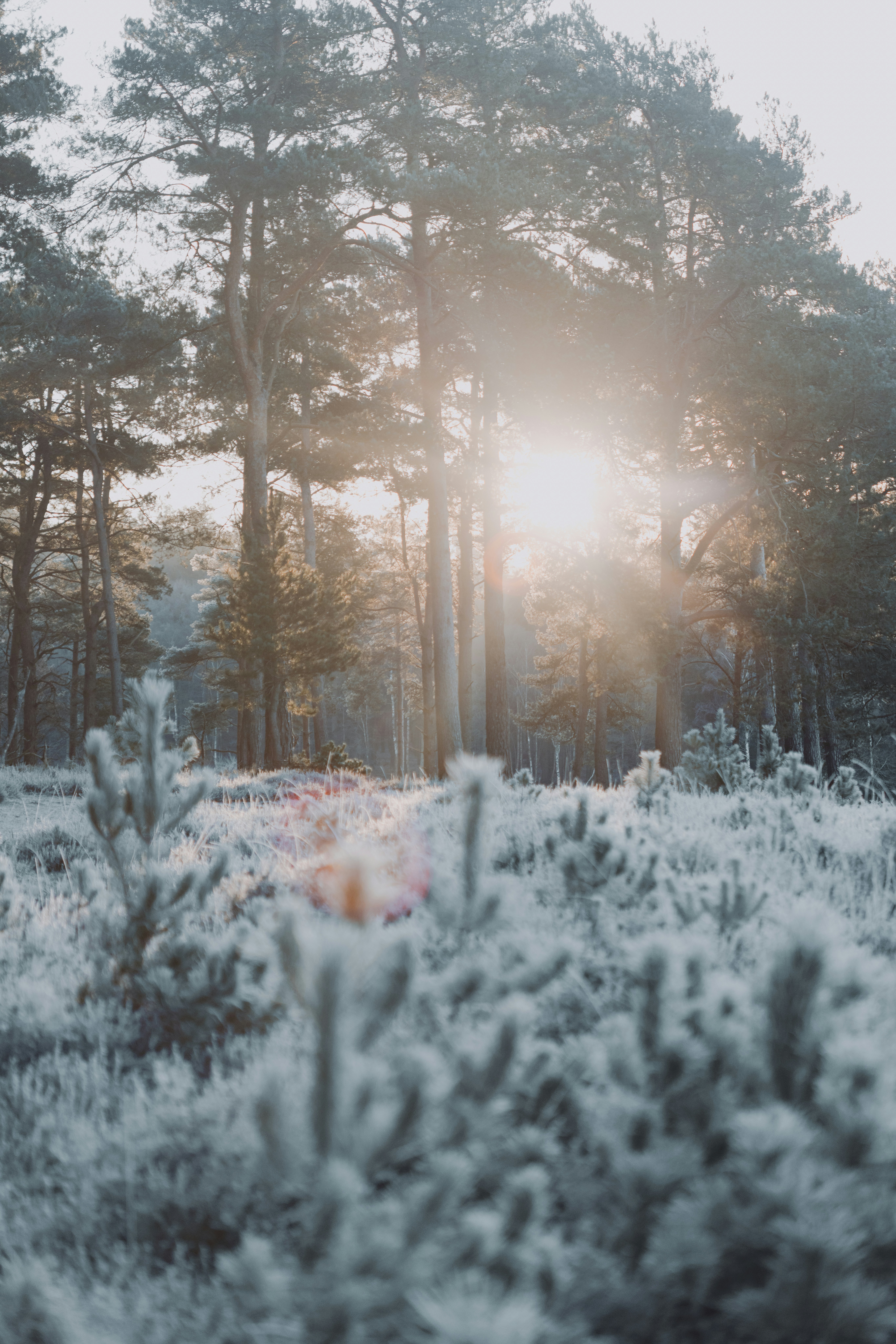 Photo by anniespratt