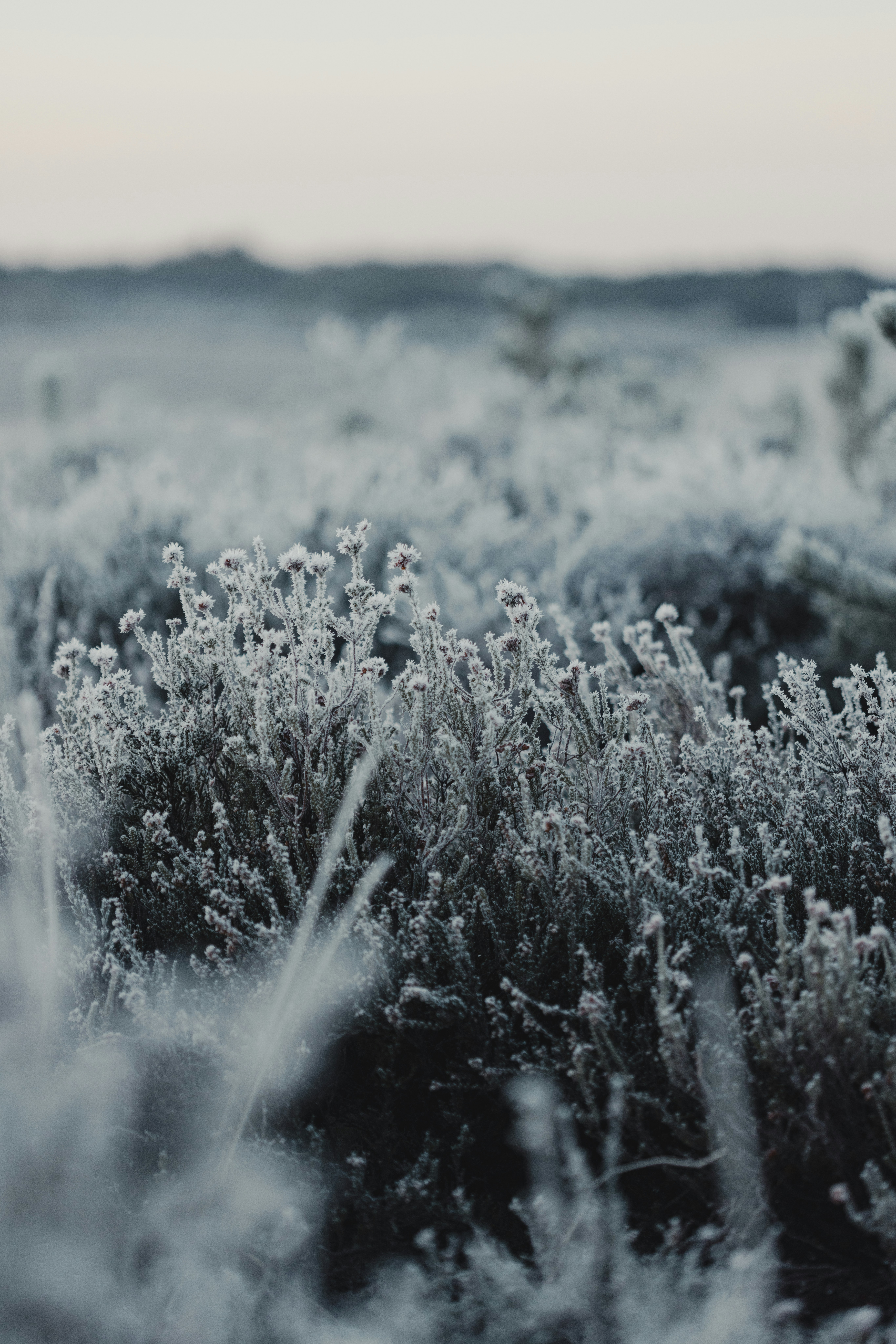 Photo by anniespratt