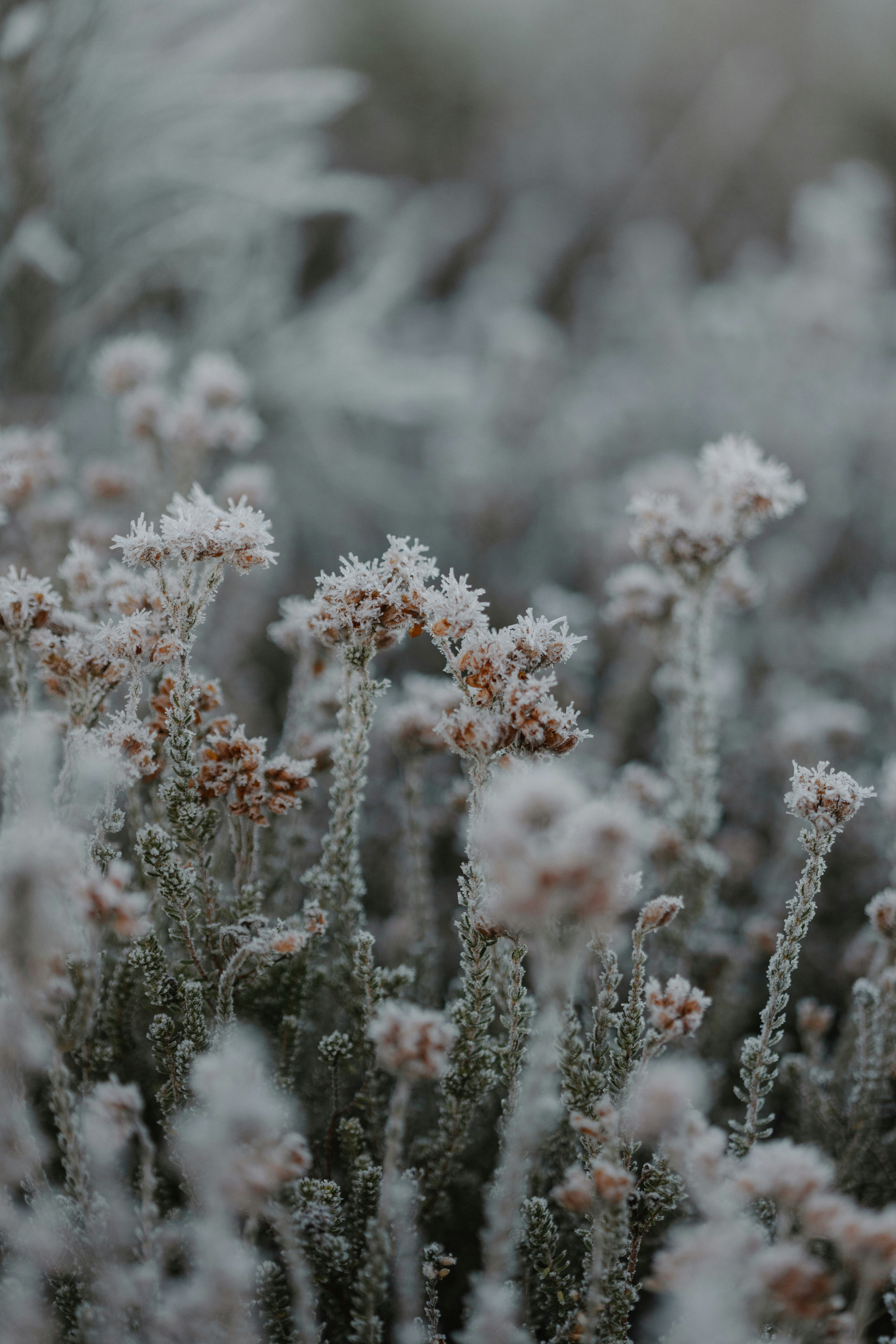 In Therapy:  The Patient stops Flirting
