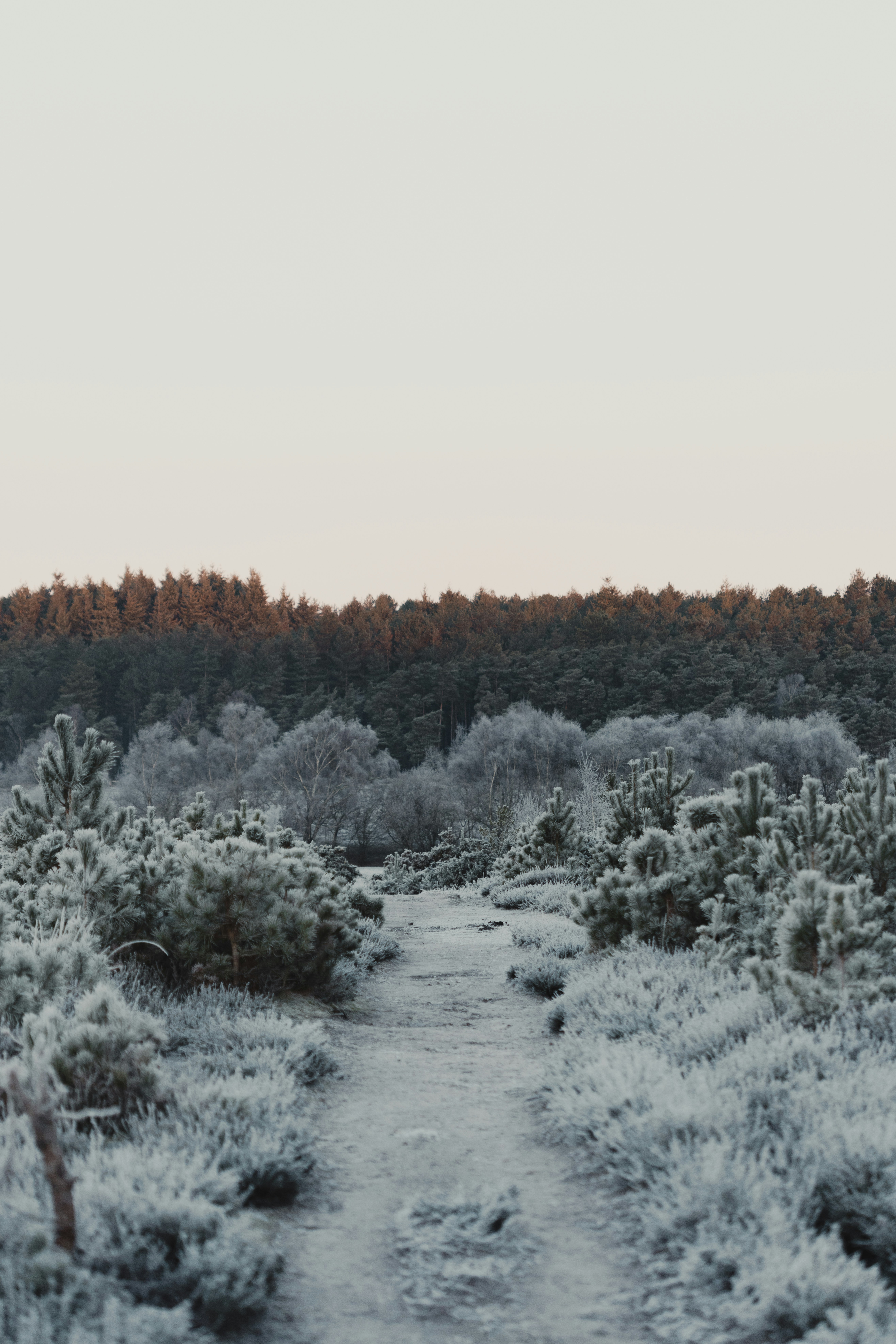 Photo by anniespratt