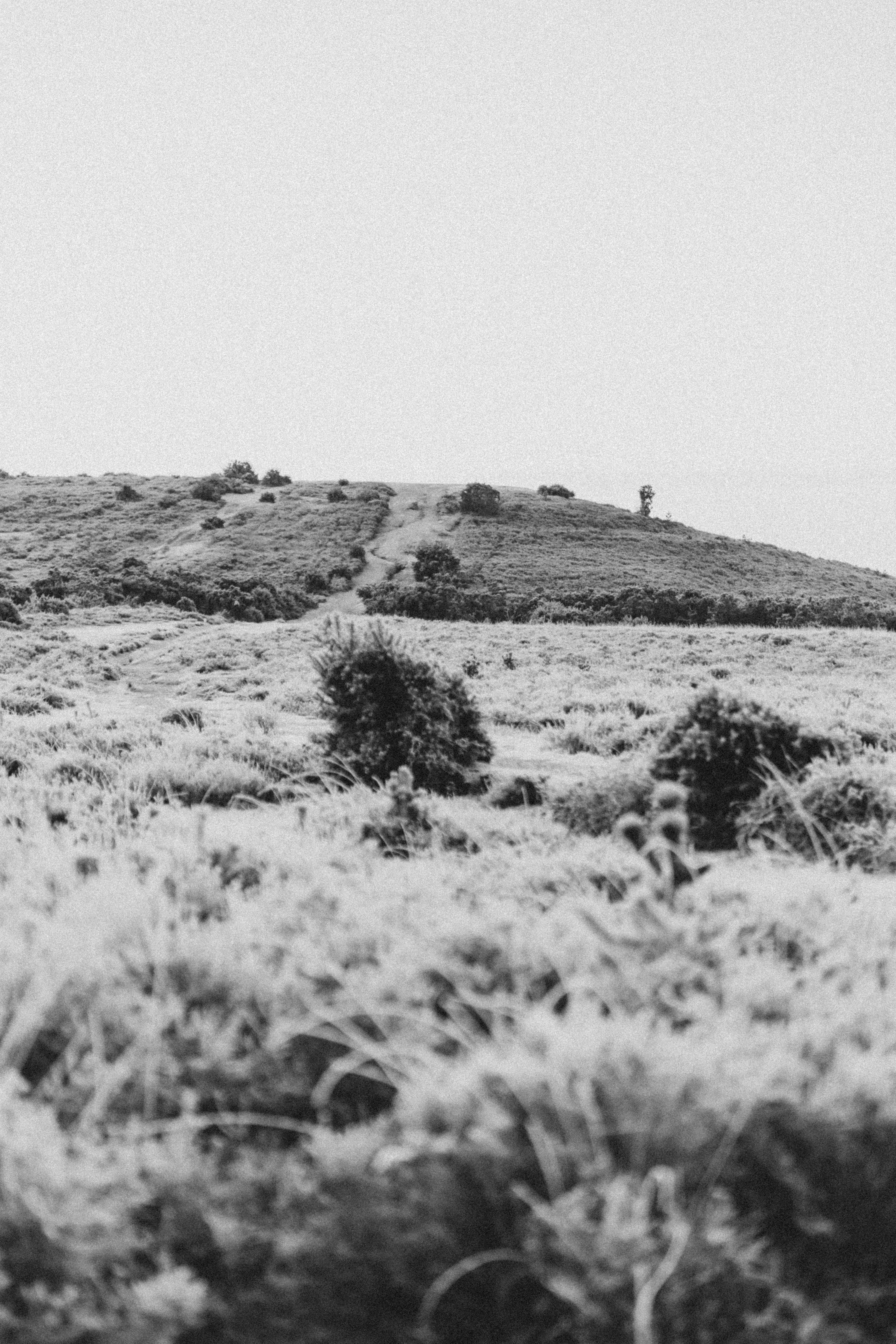 Photo by anniespratt