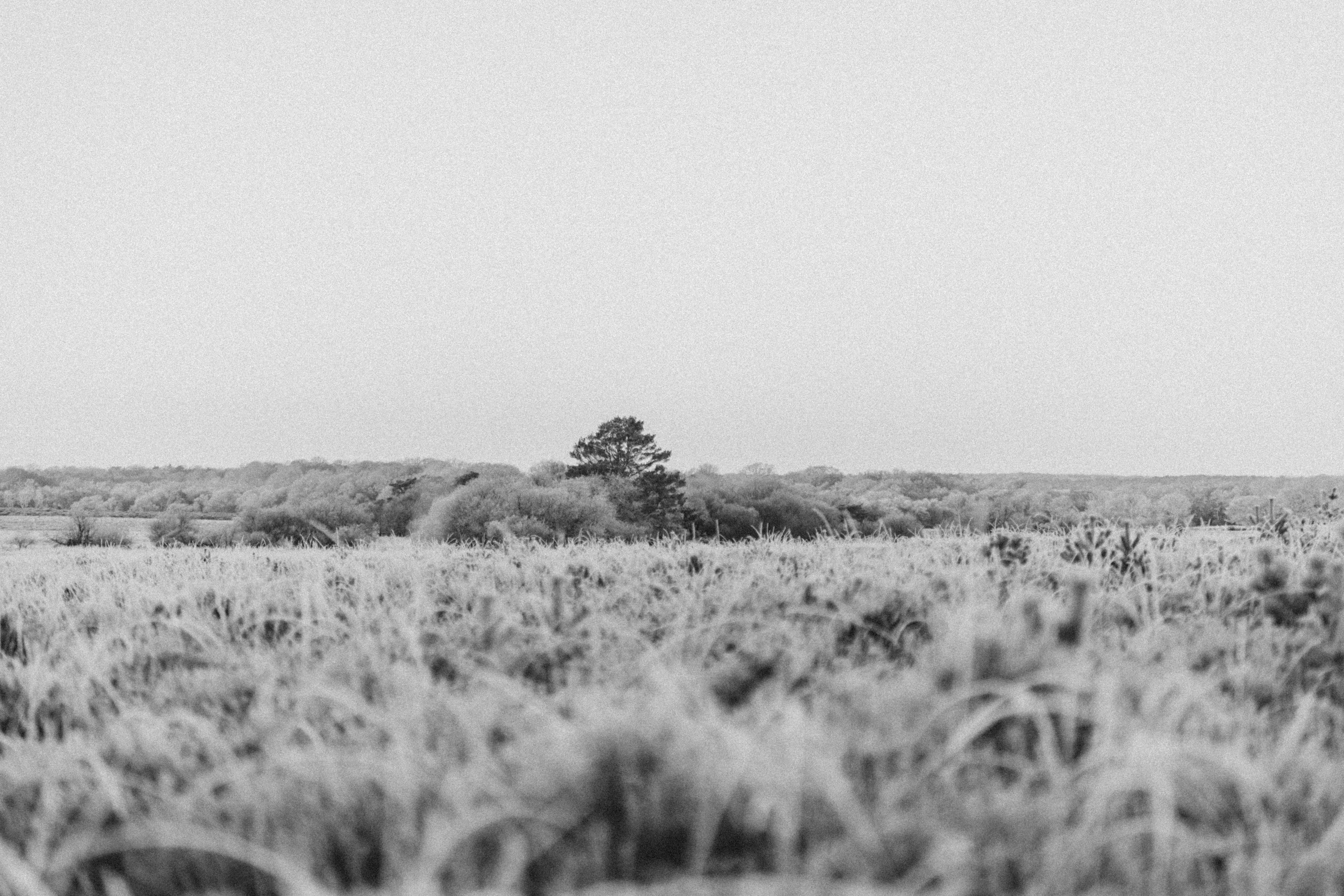 Photo by anniespratt