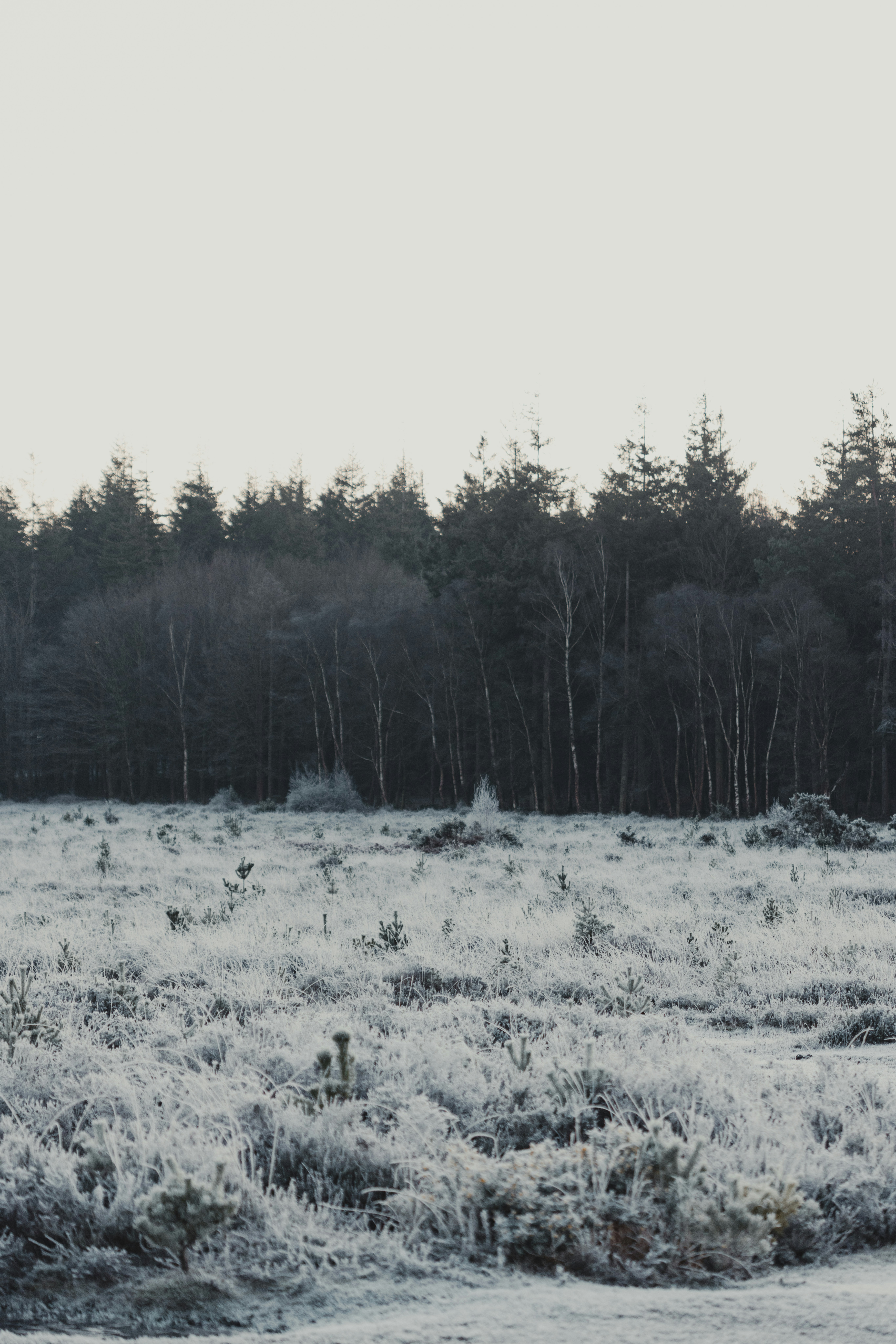 Photo by anniespratt