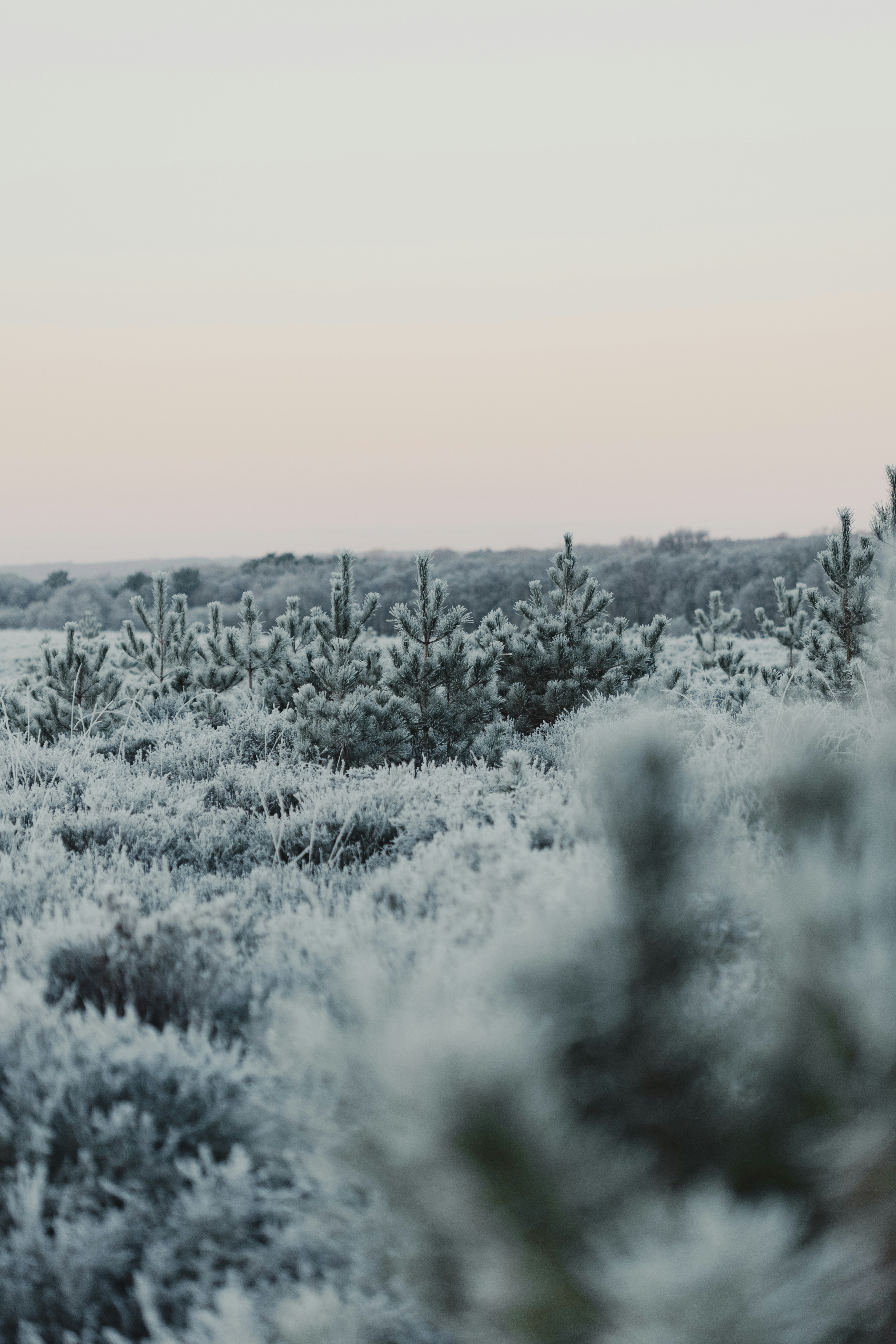 Photo by anniespratt