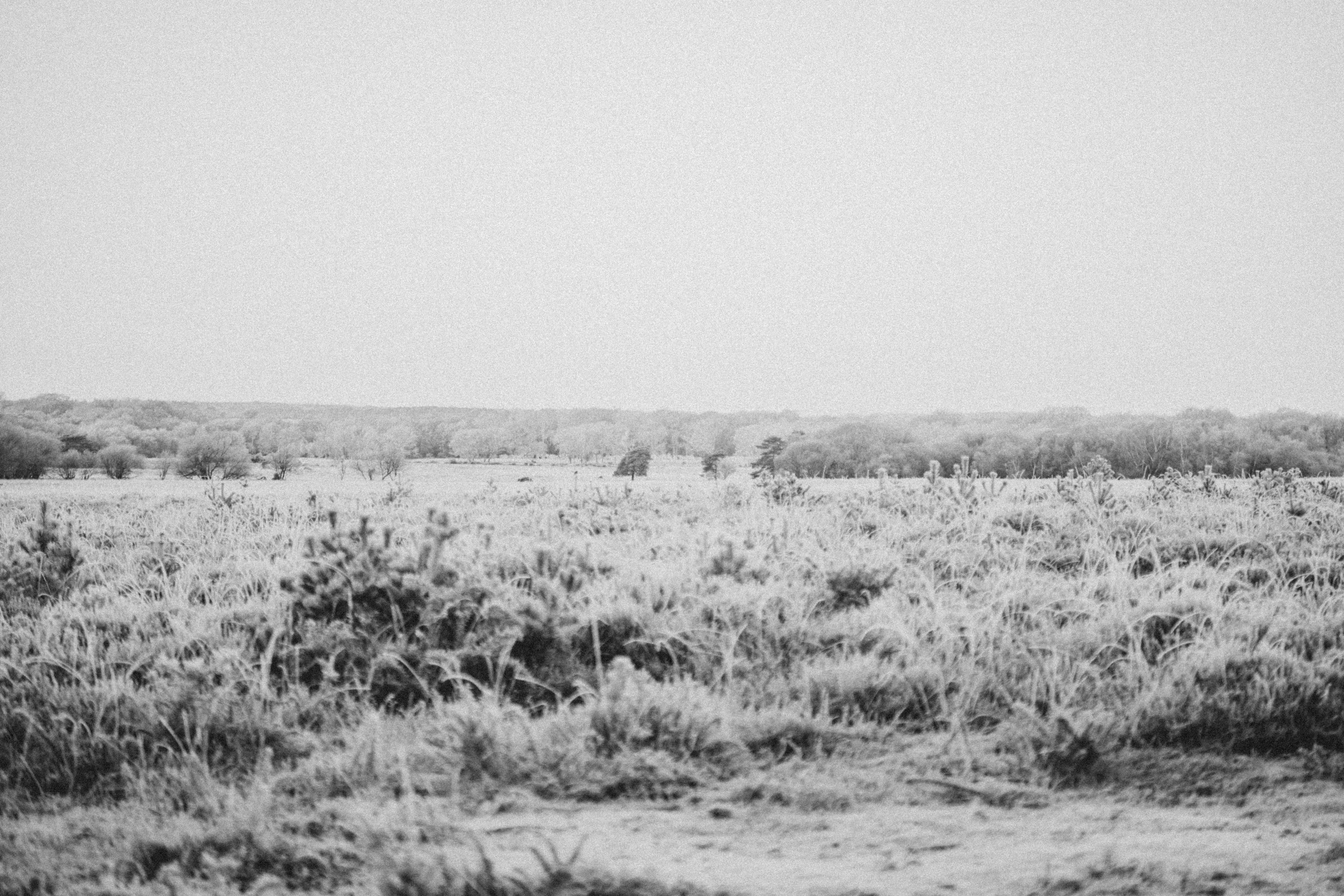 Photo by anniespratt