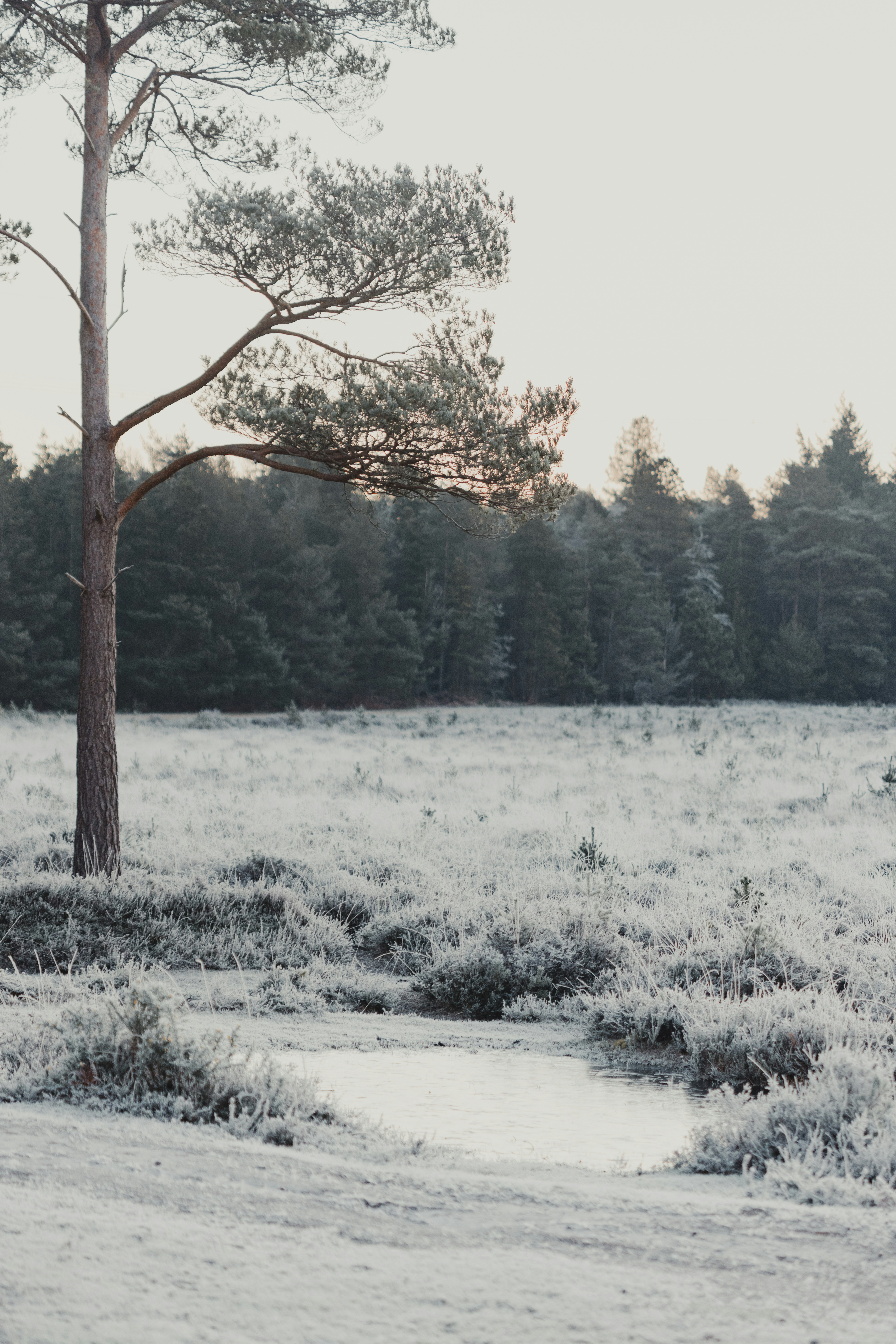 Photo by anniespratt