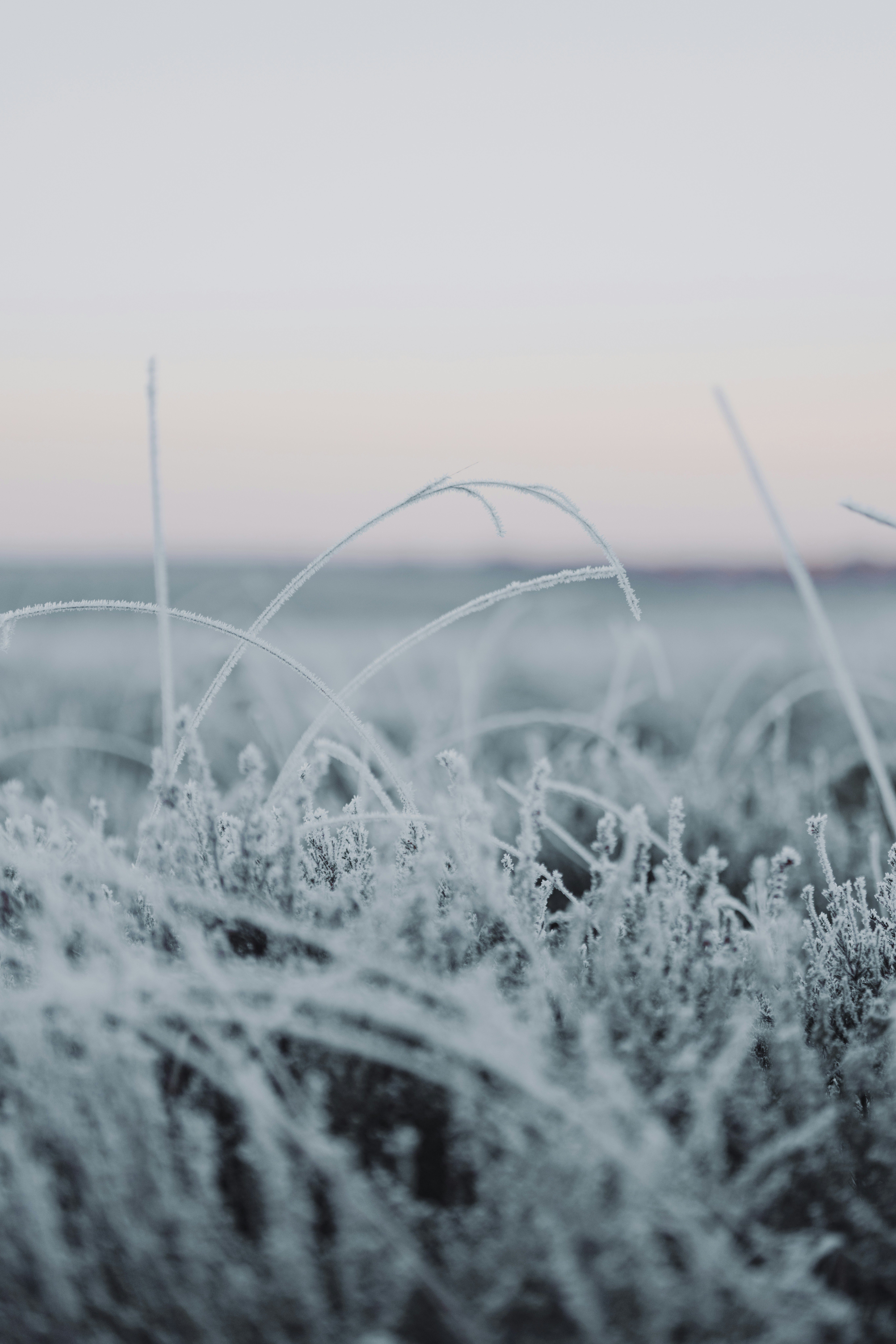 Photo by anniespratt