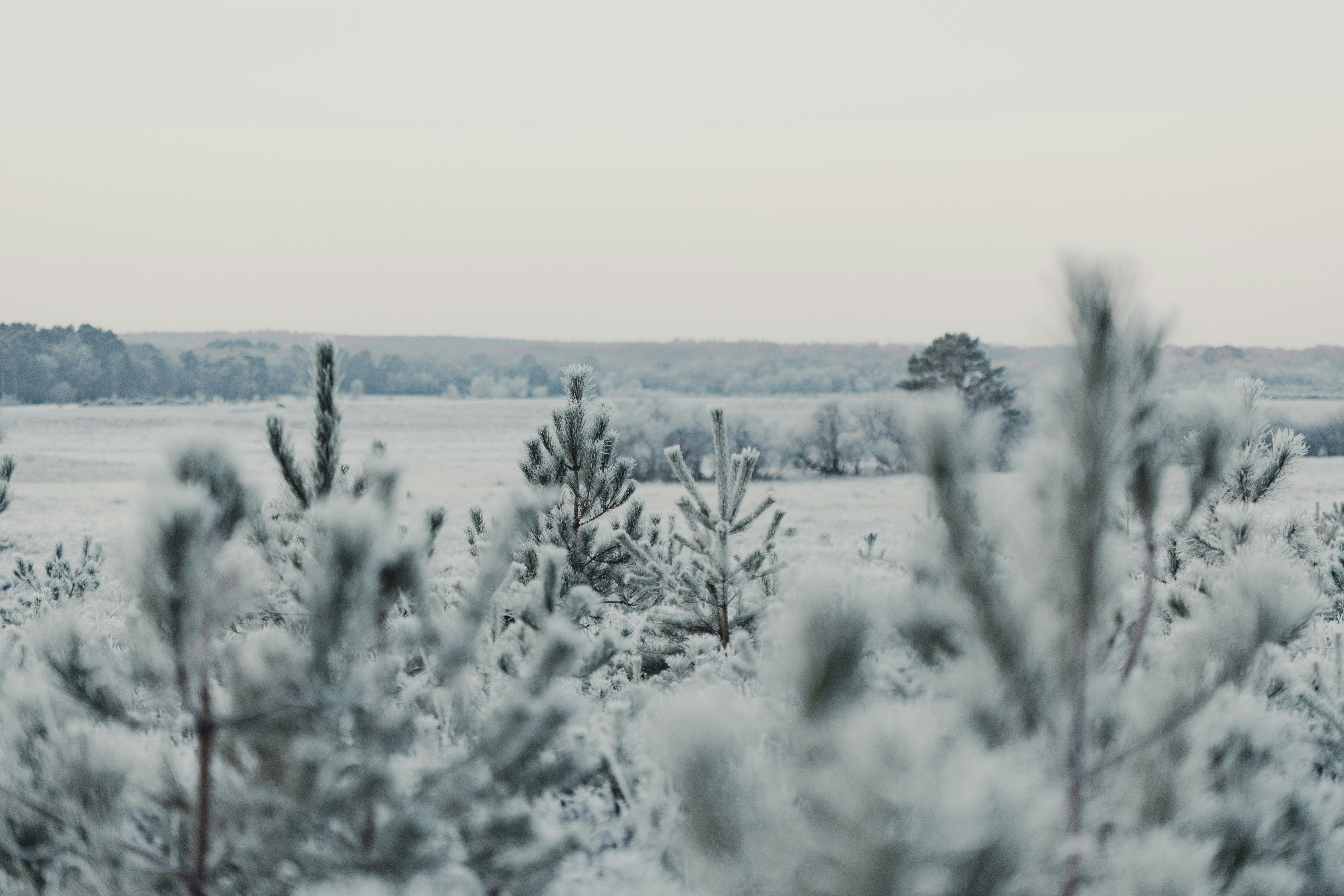 Photo by anniespratt