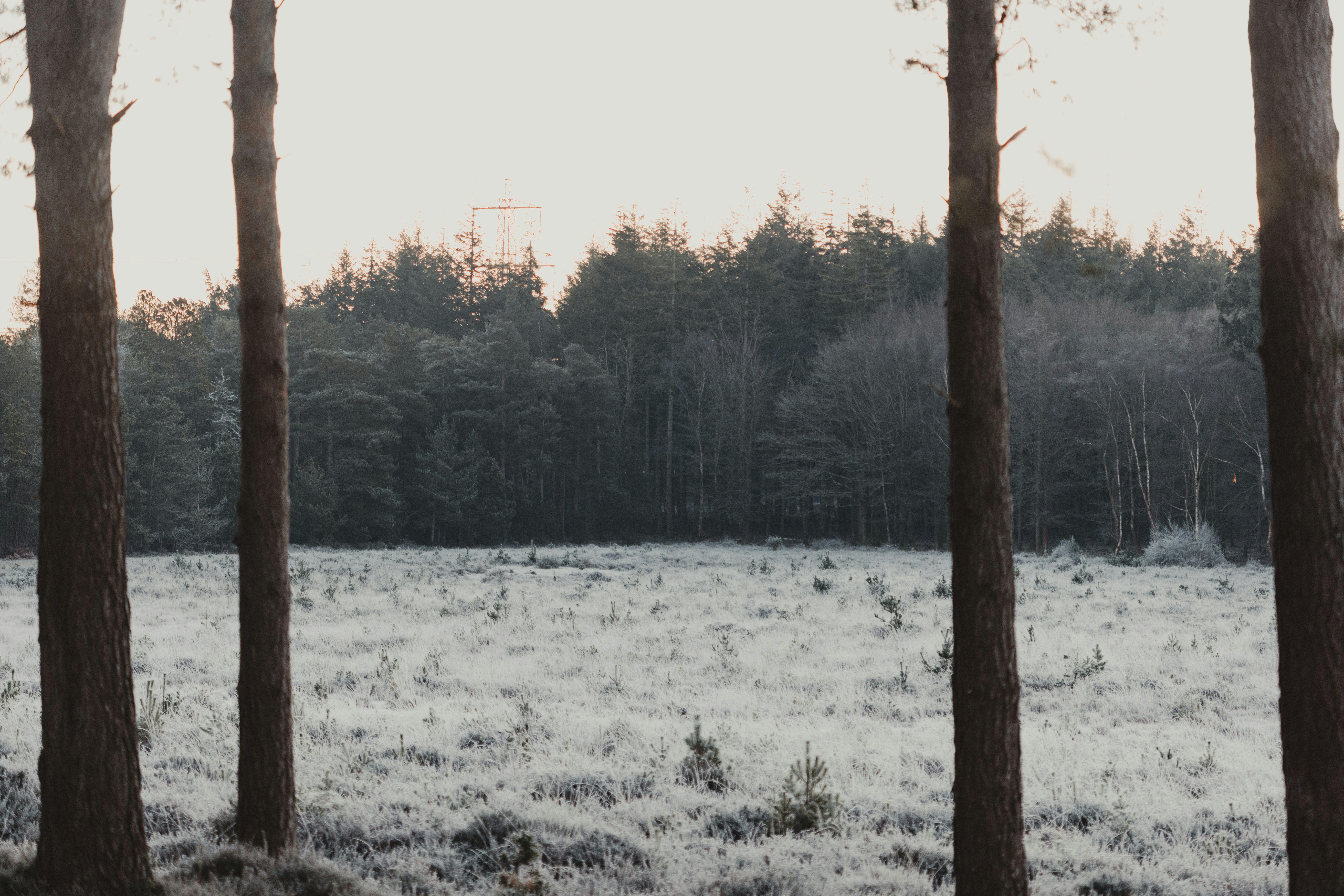 Photo by anniespratt