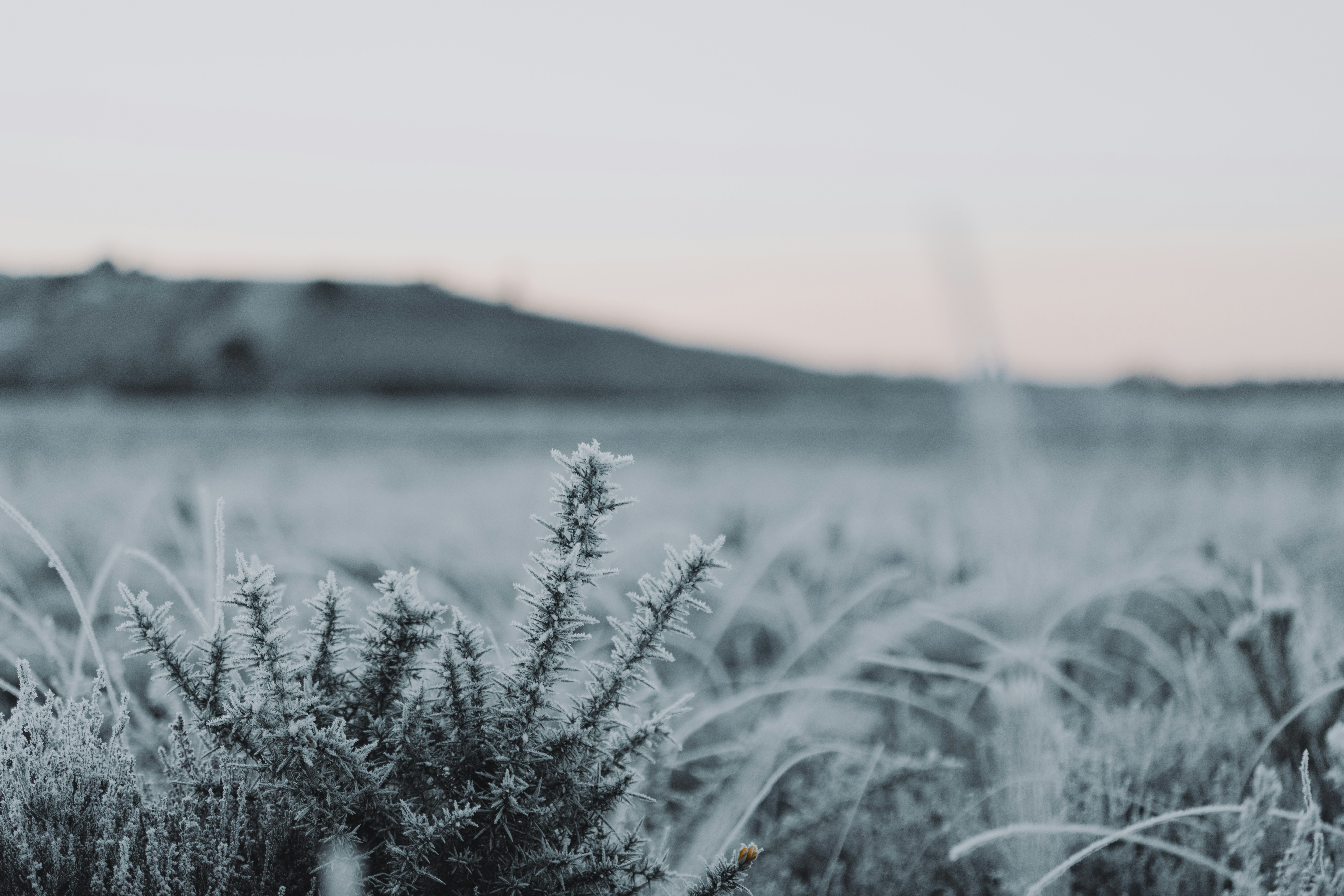 Photo by anniespratt