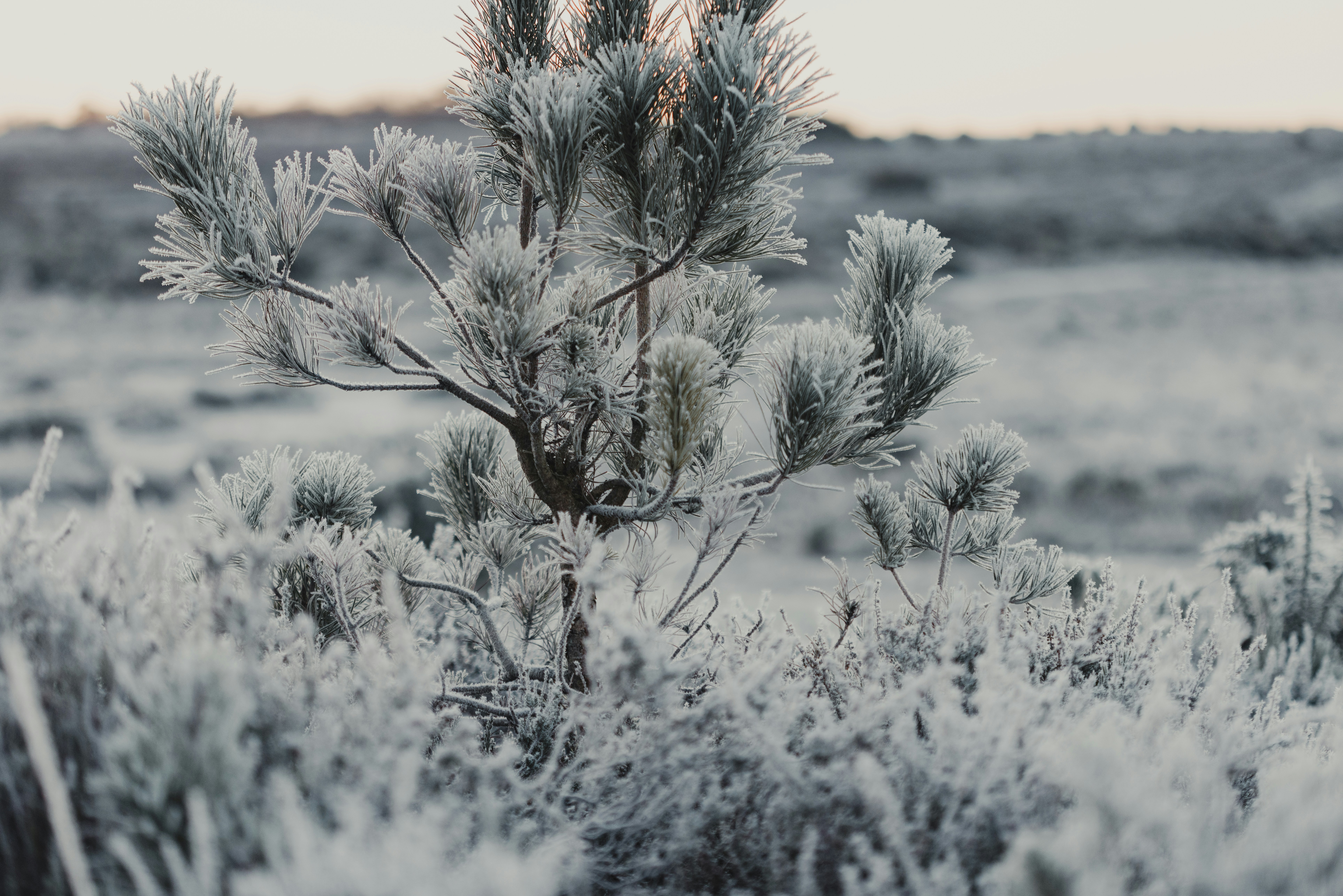 Photo by anniespratt