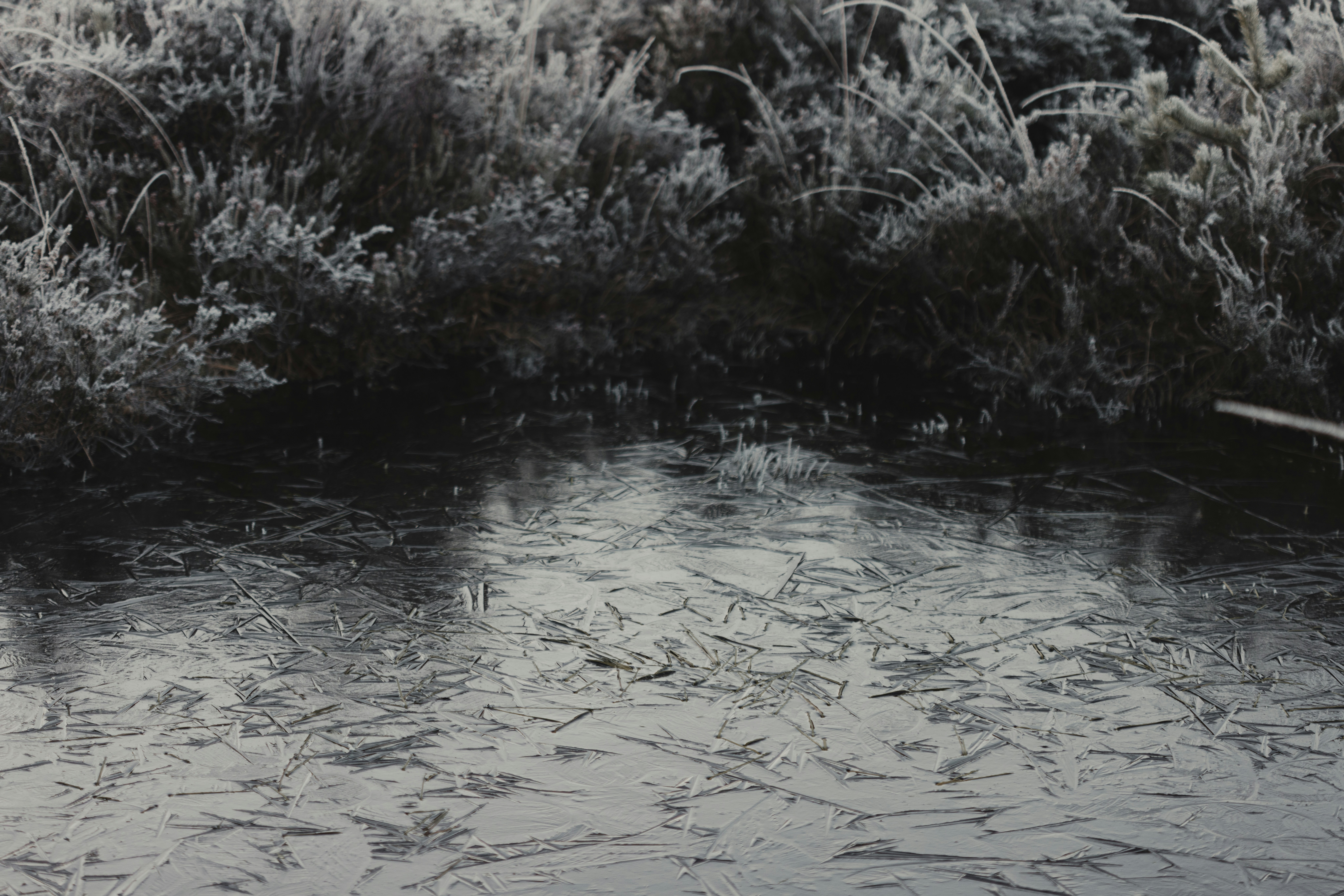 Photo by anniespratt