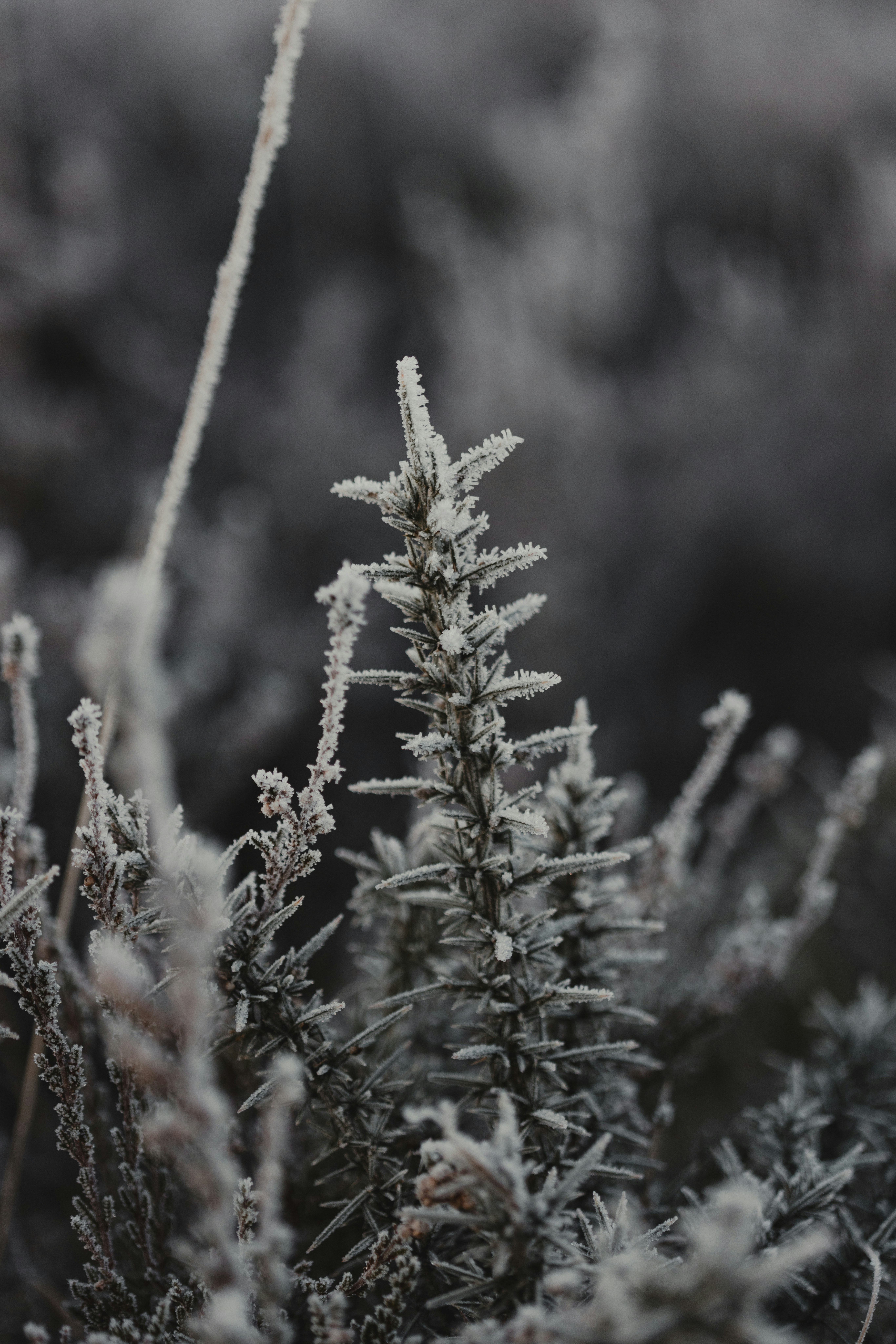 Photo by anniespratt