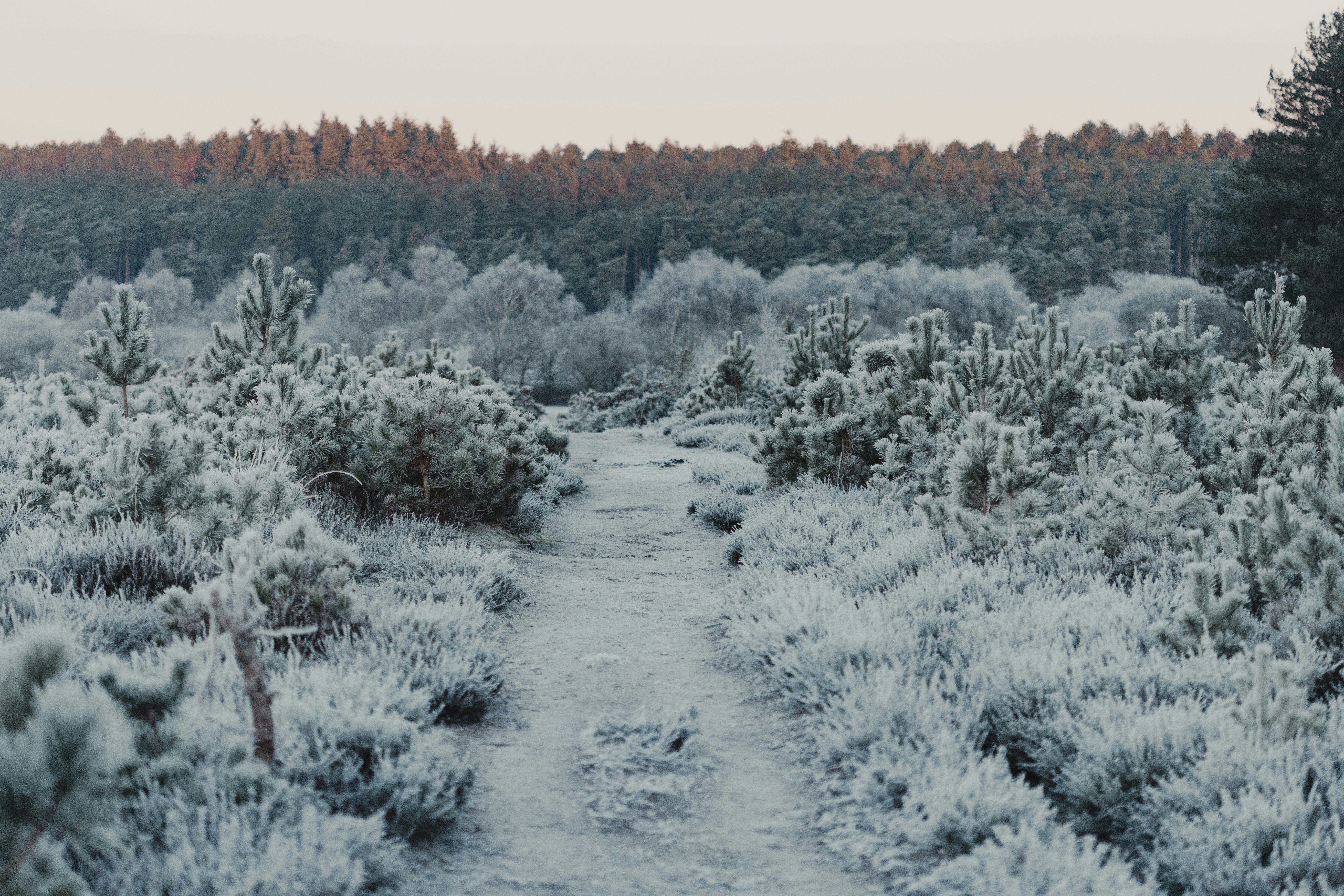 Photo by anniespratt