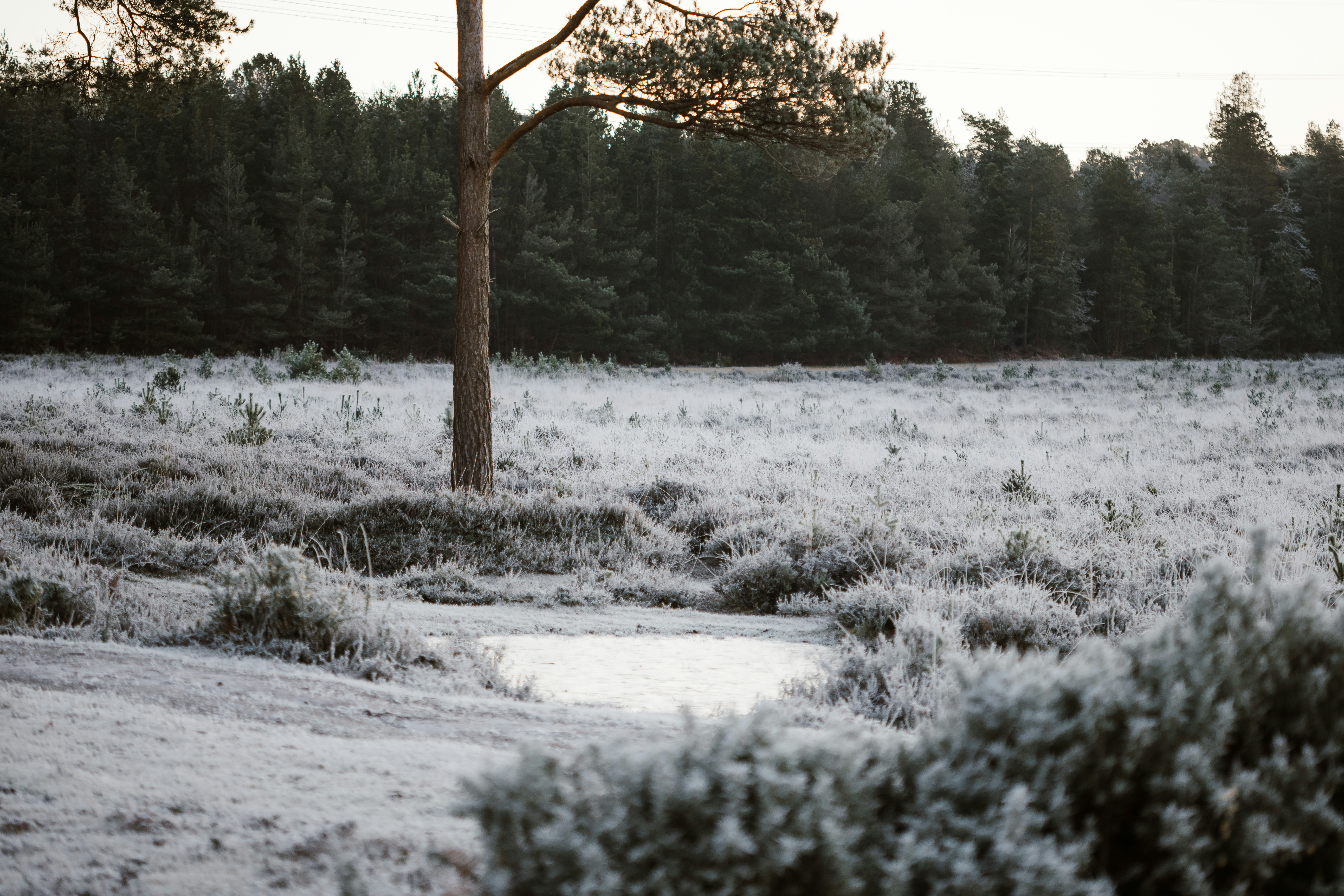 Photo by anniespratt