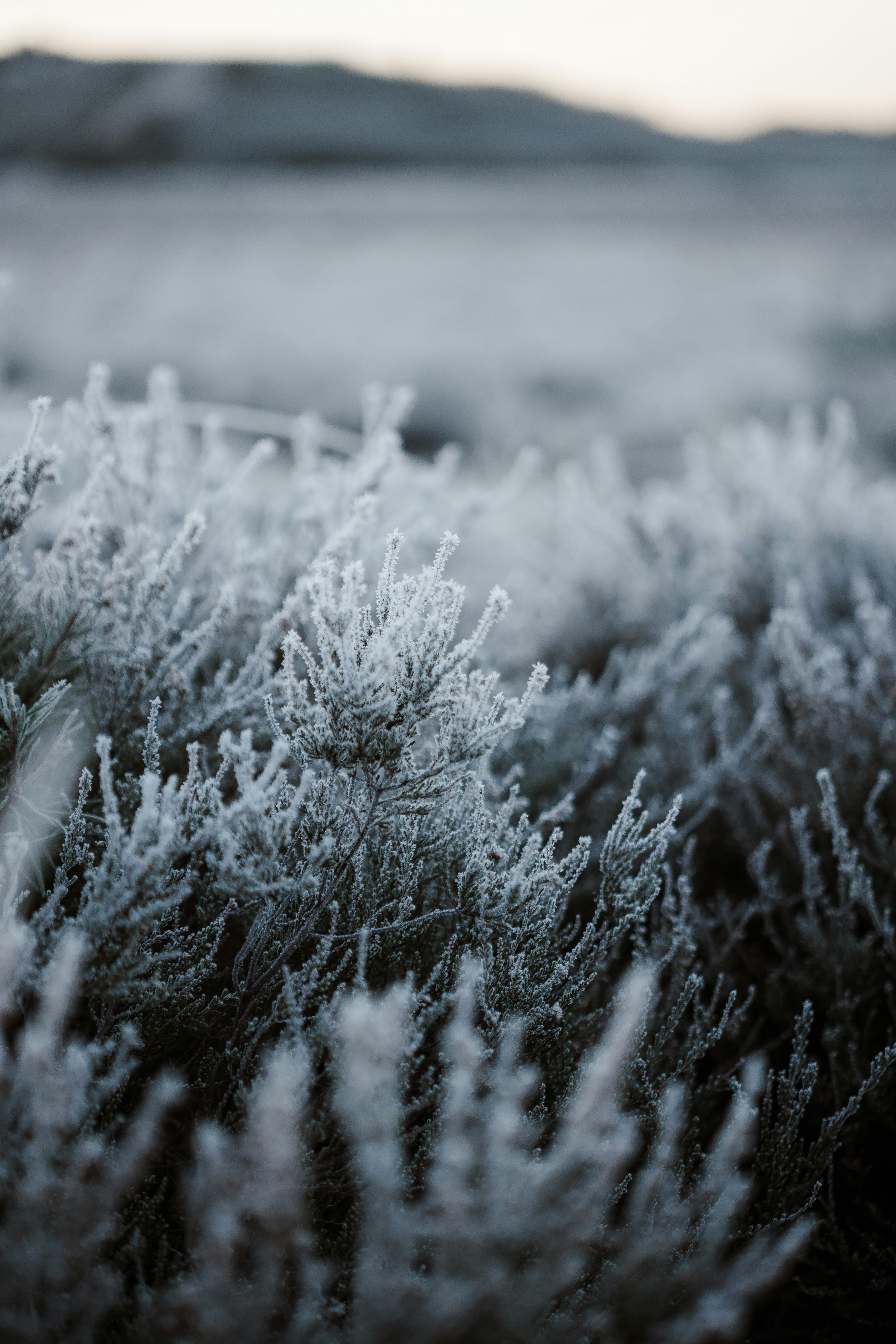 Photo by anniespratt