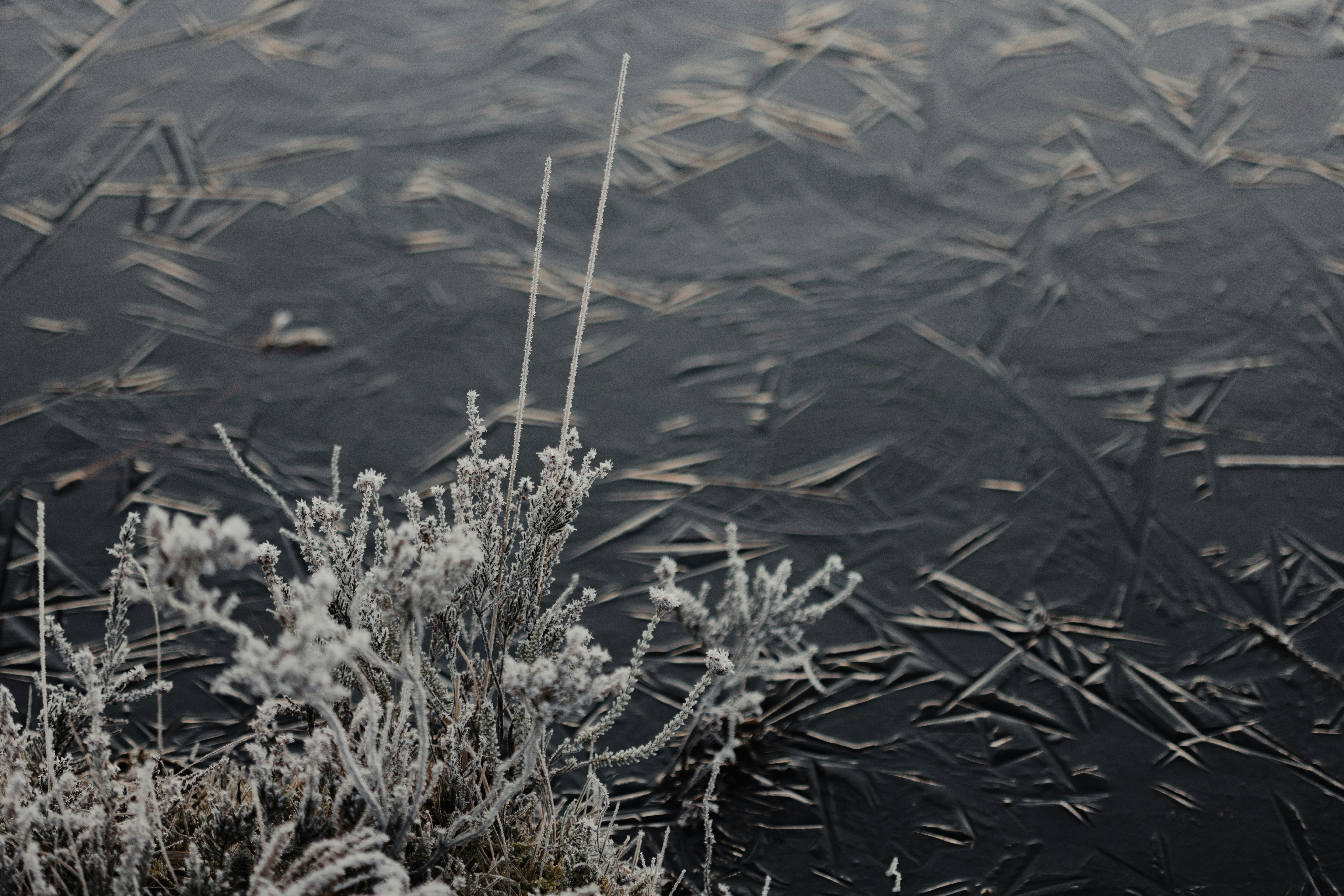 Photo by anniespratt