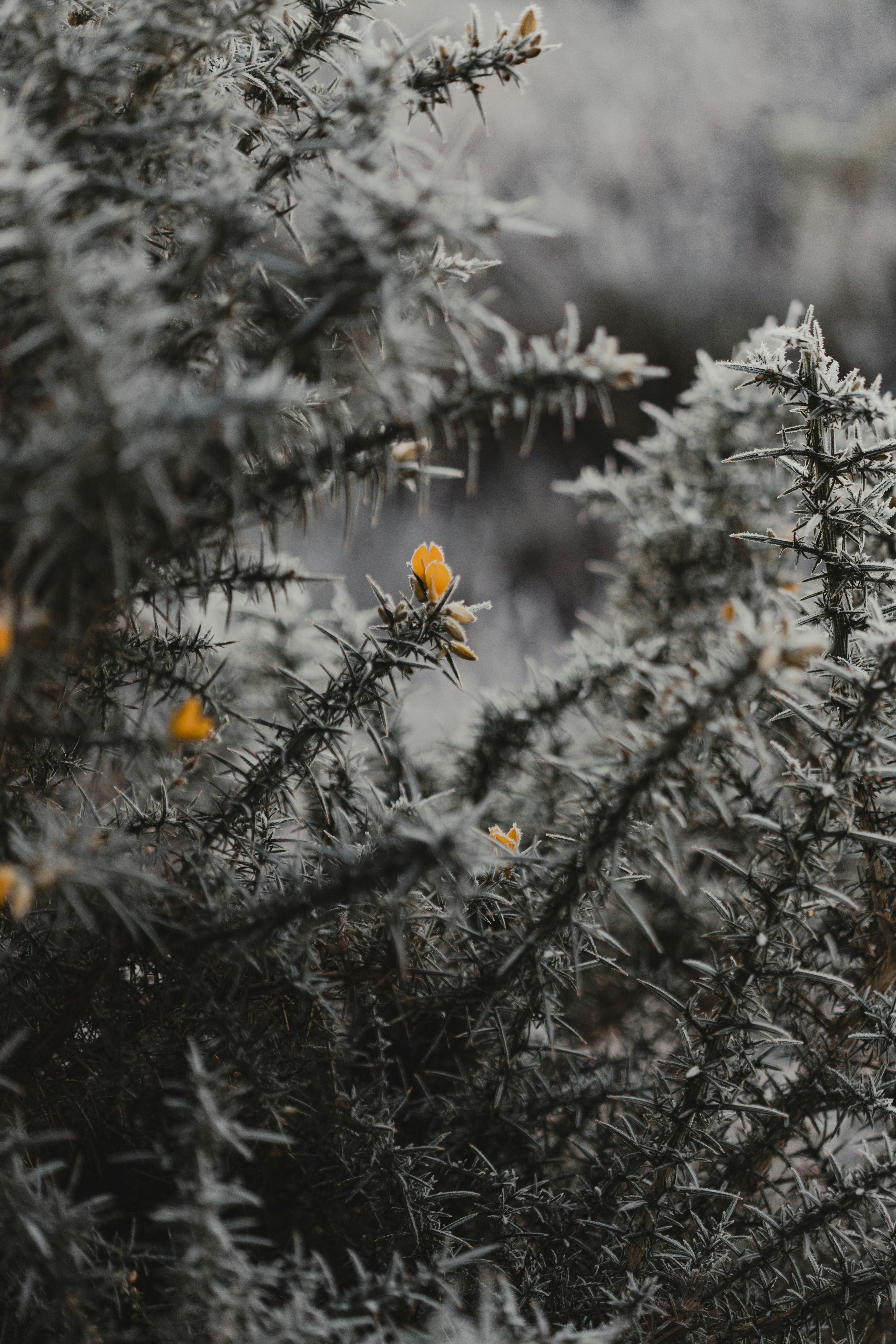 Photo by anniespratt