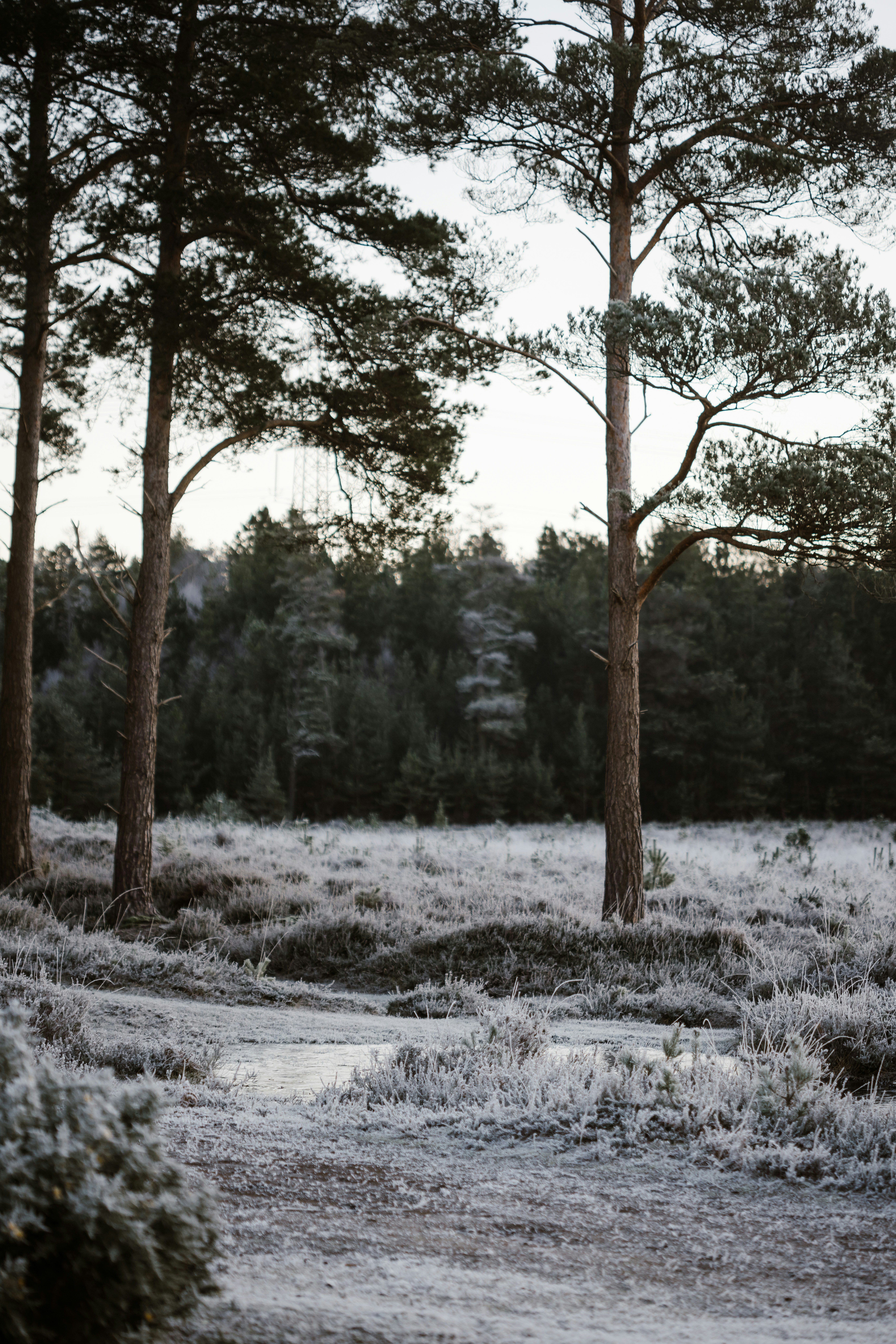 Photo by anniespratt