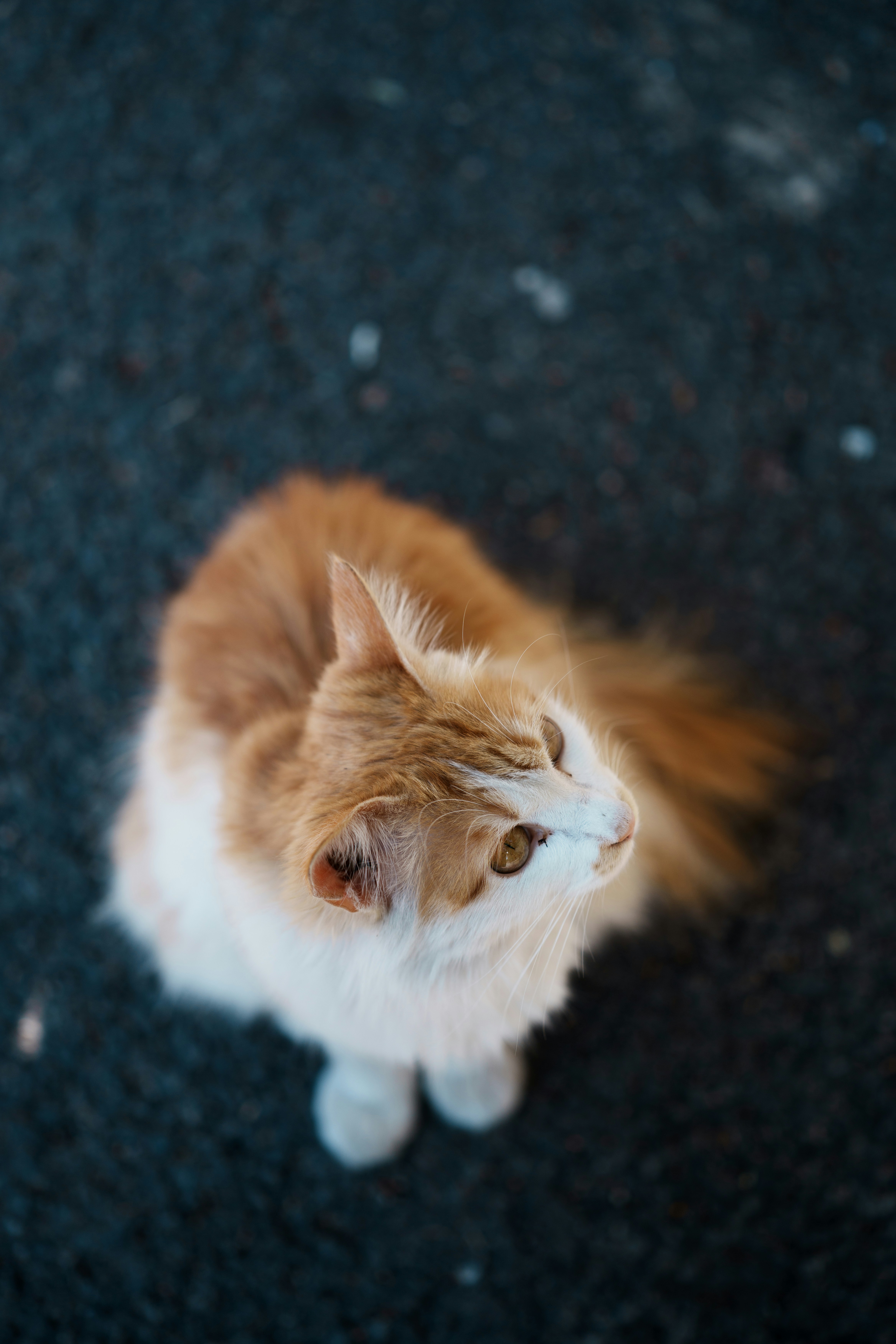 Photo by toxicsmoker