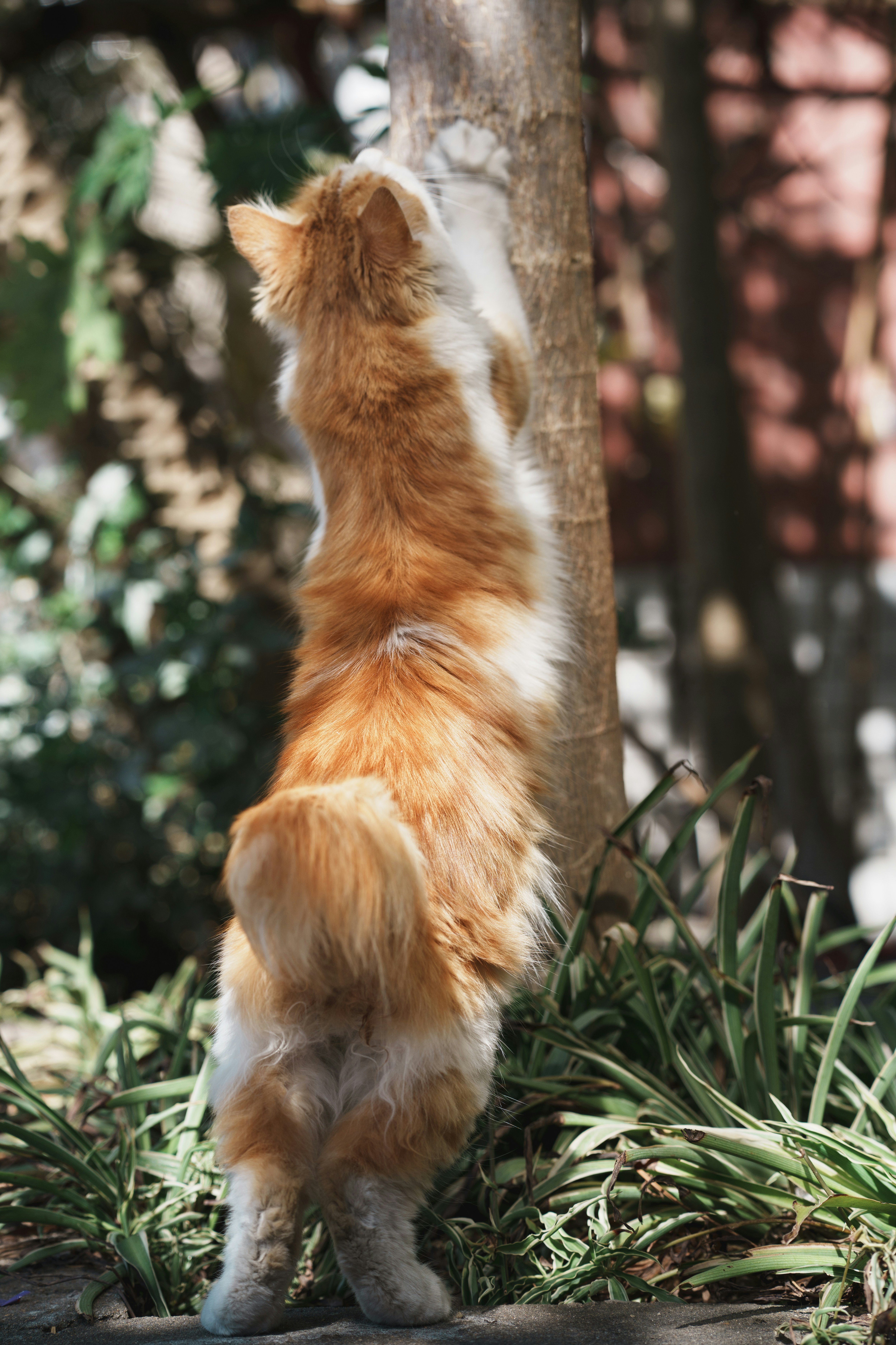 Photo by toxicsmoker