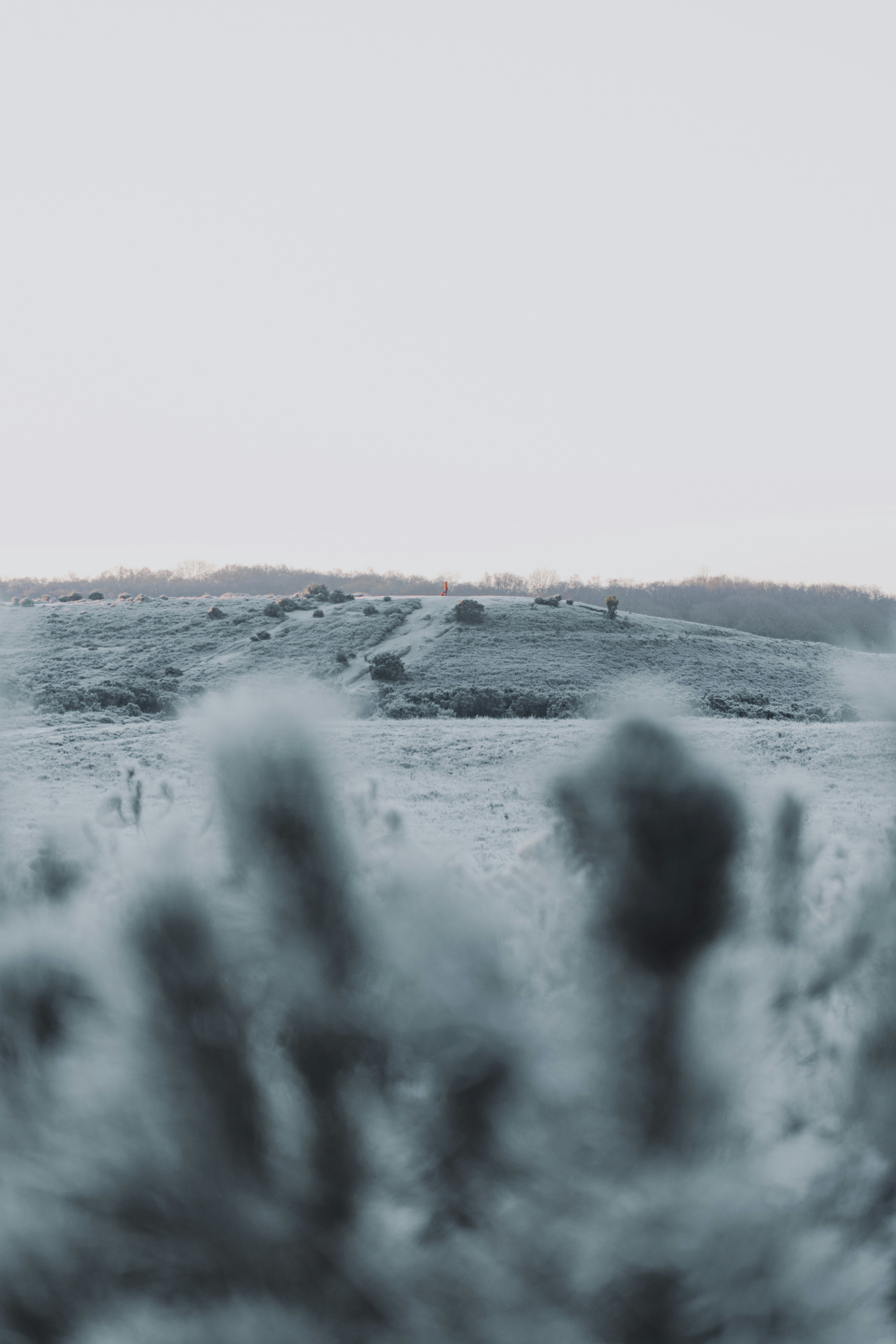 Photo by anniespratt