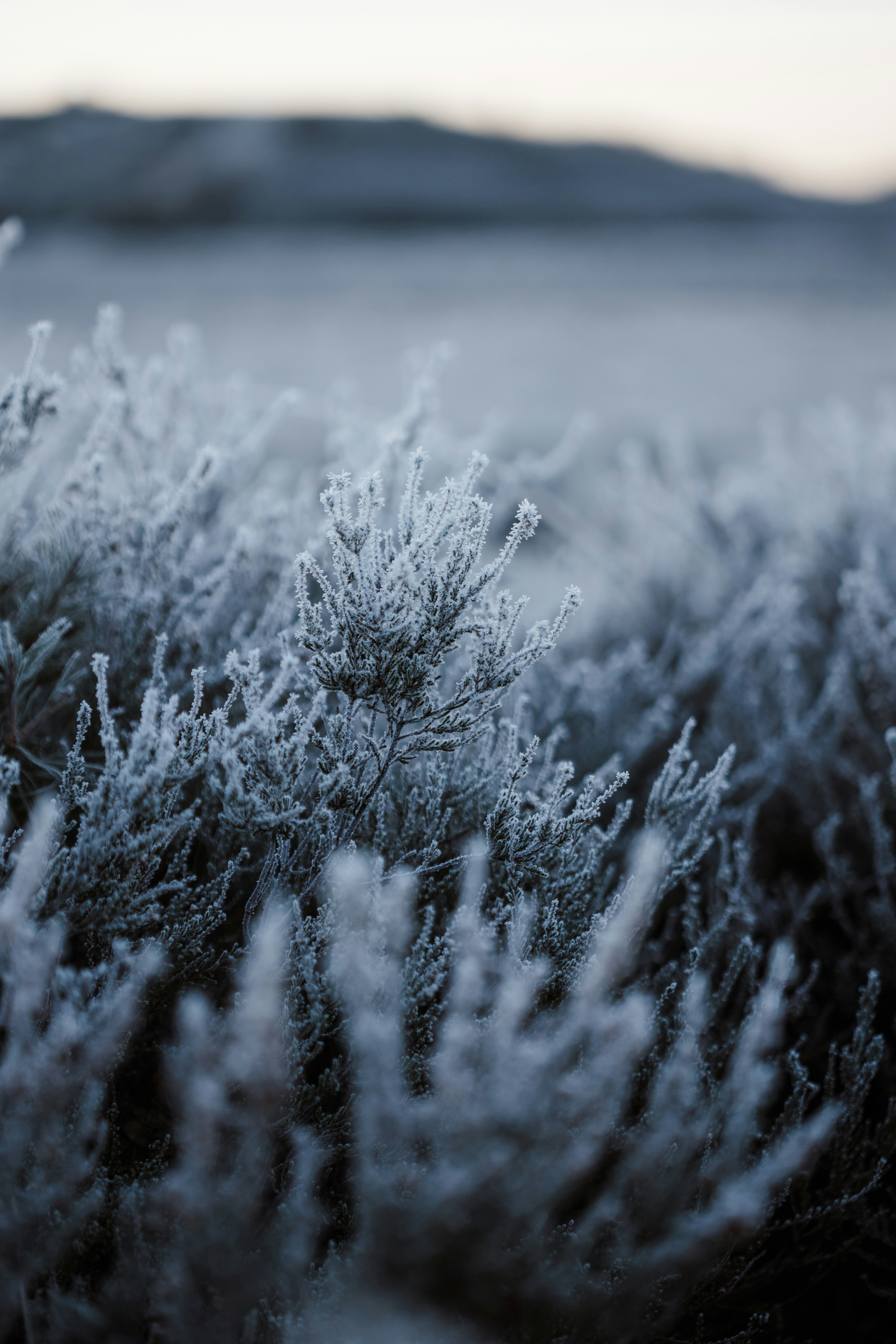 Photo by anniespratt