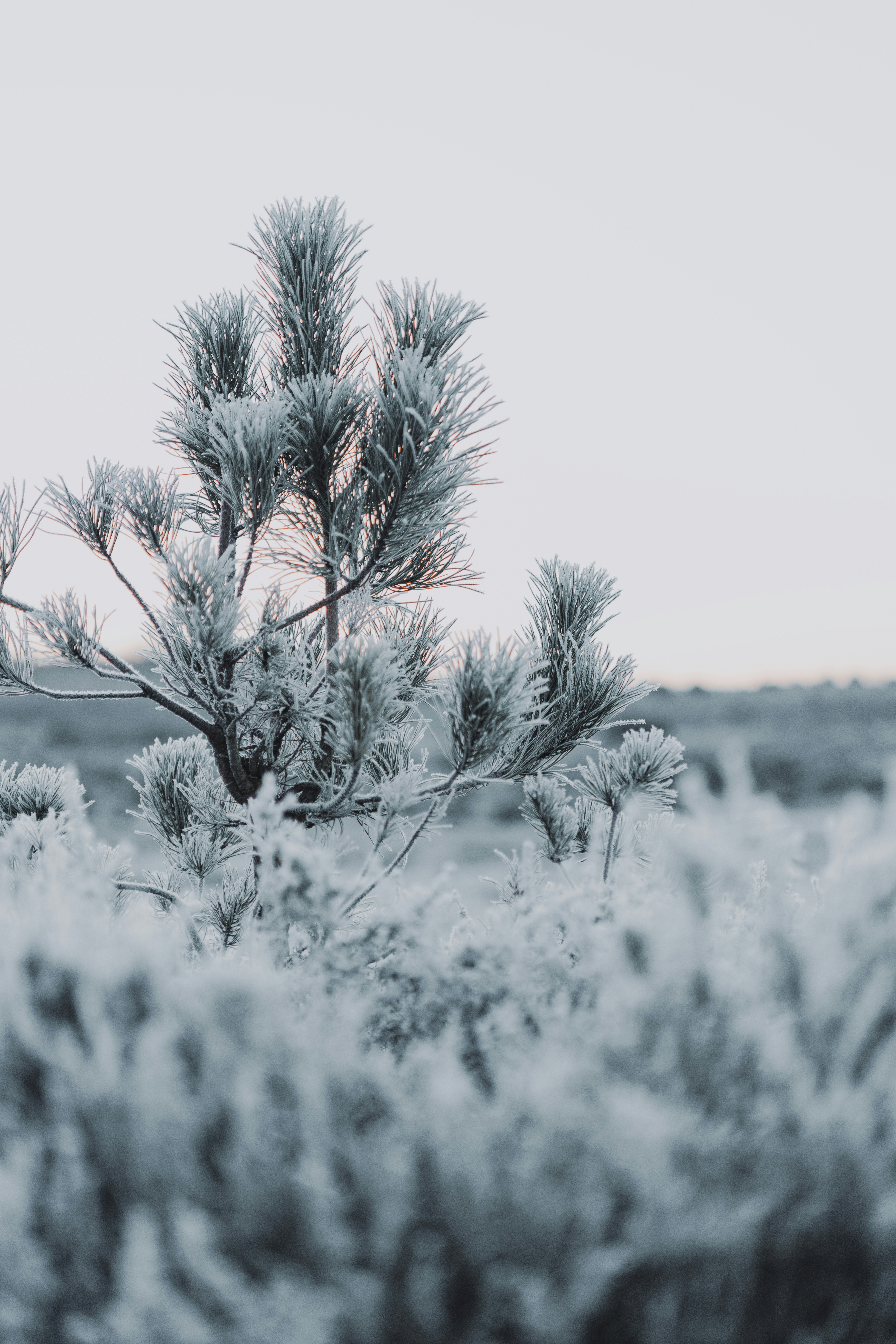 Photo by anniespratt