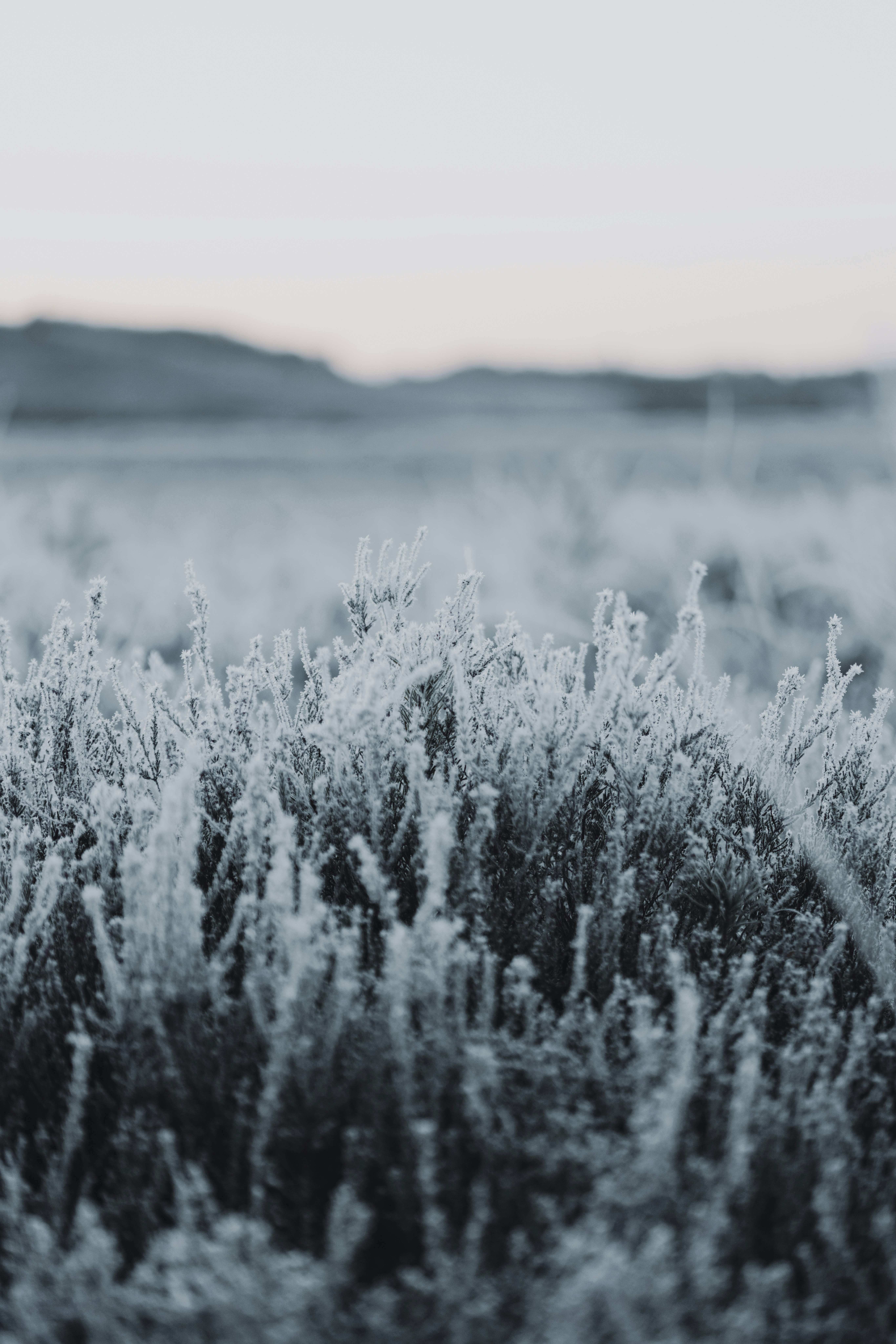 Photo by anniespratt