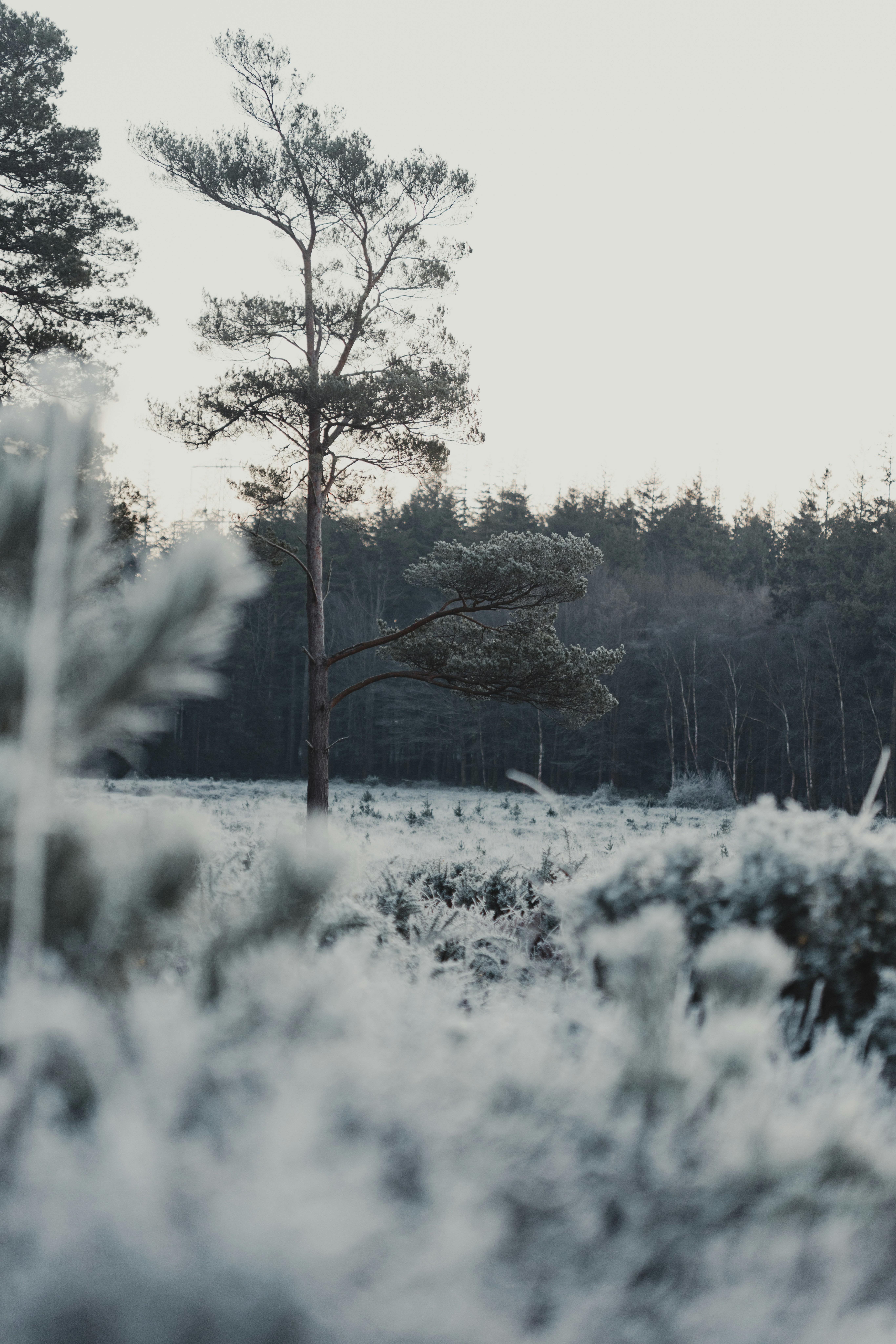 Photo by anniespratt