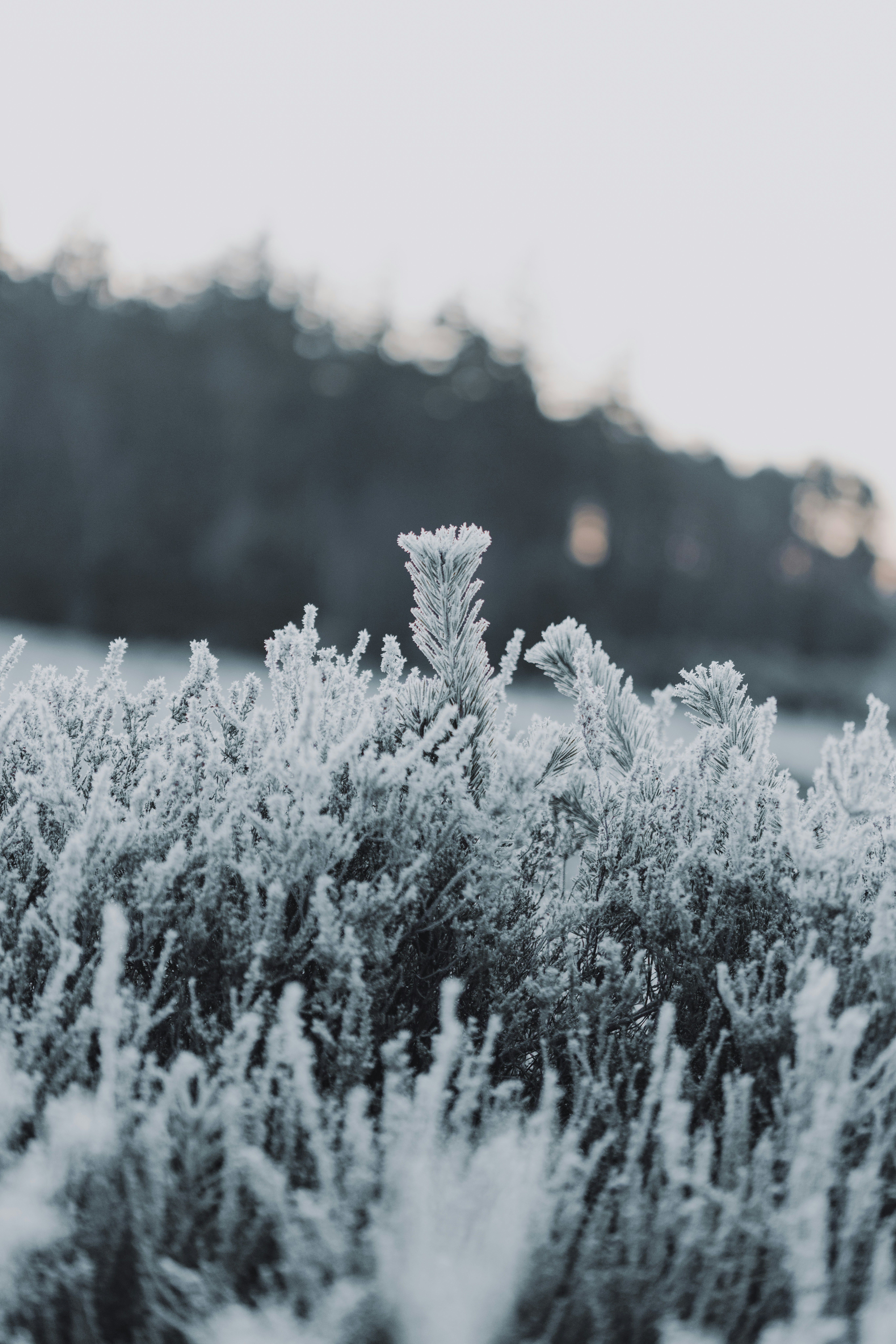 Photo by anniespratt